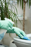 Cleanbros (Admirala Lazareva Street, 47к1) ، خدمات التنظيف