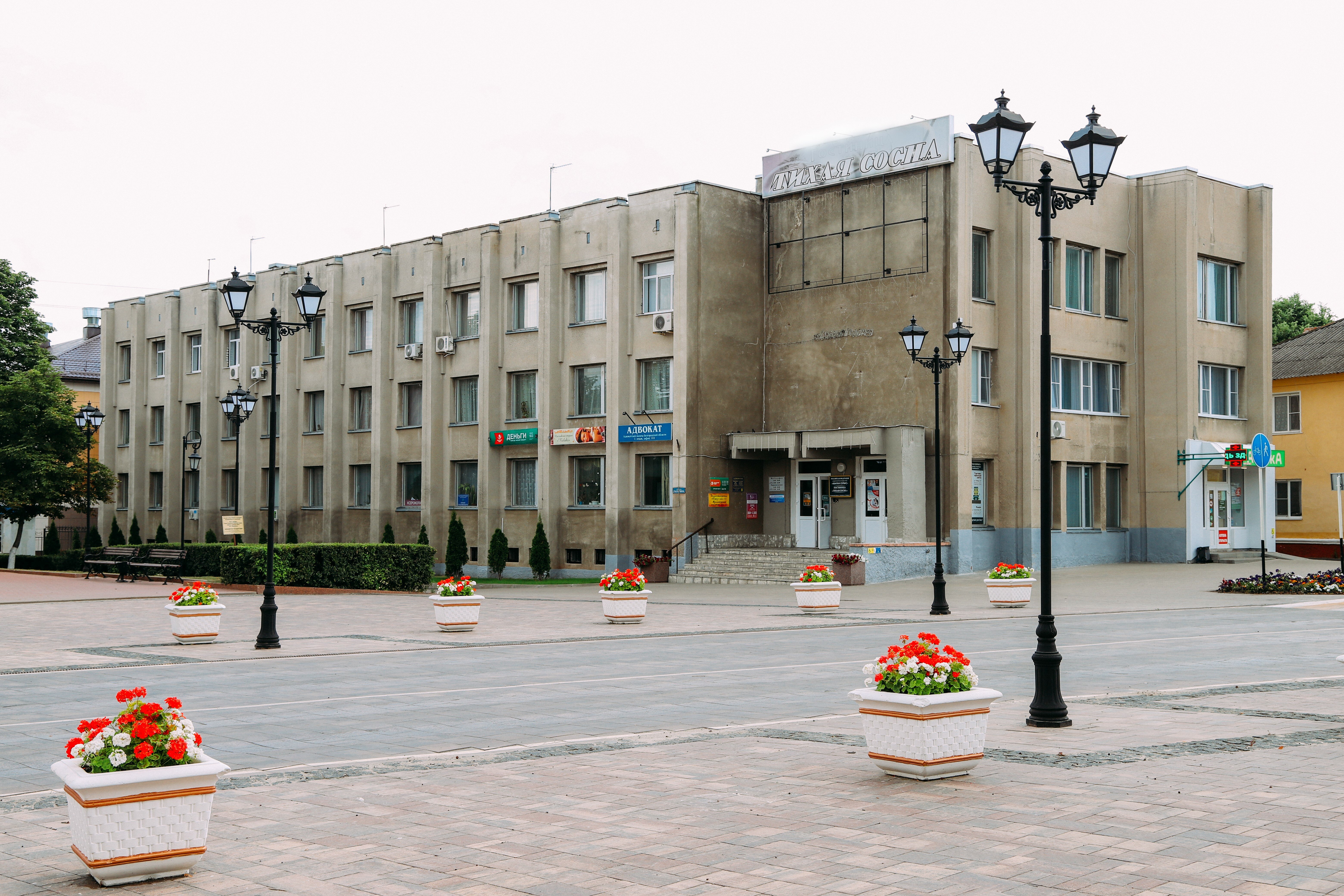 Фото Тихая сосна