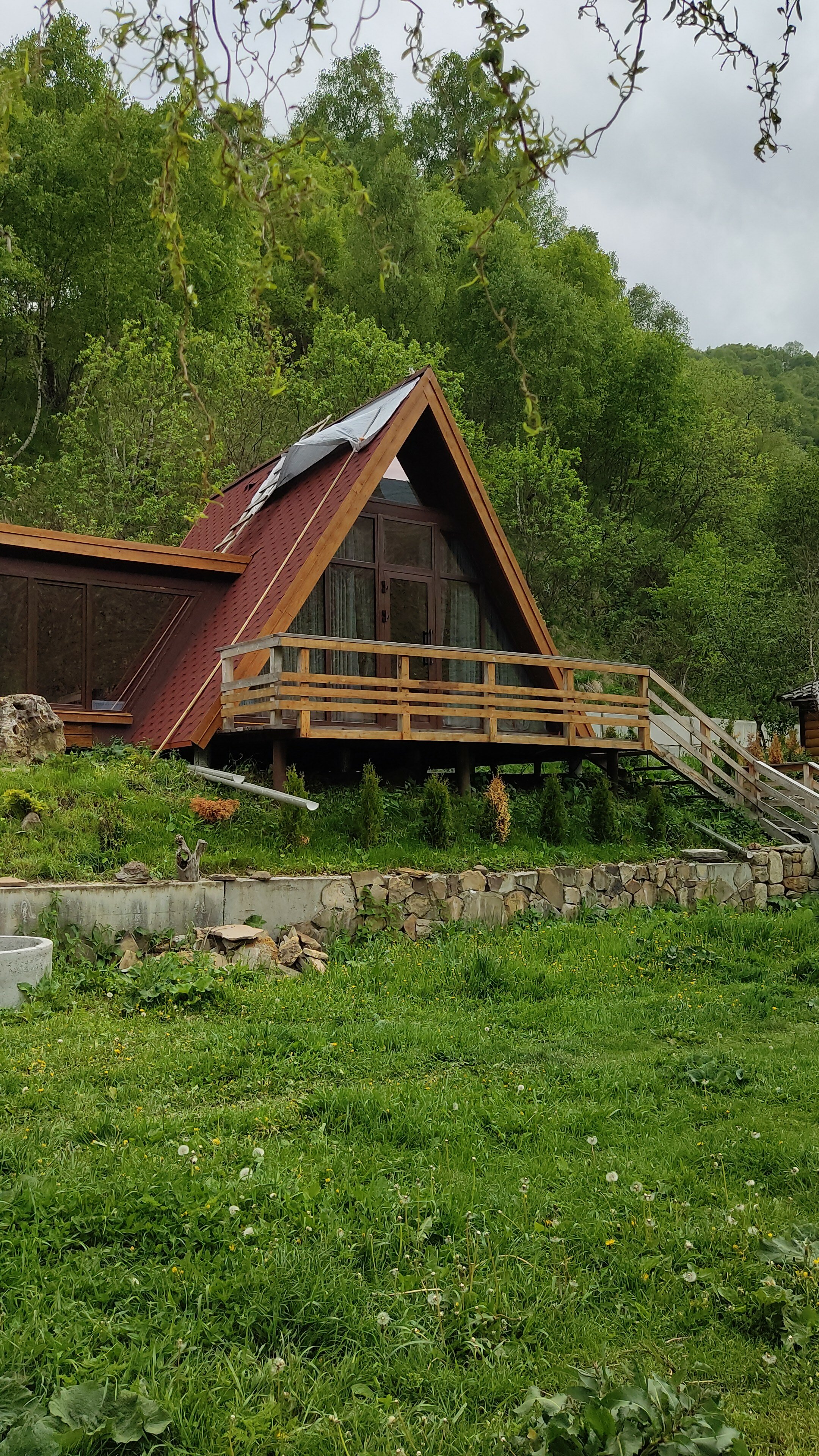 Фото Альпака