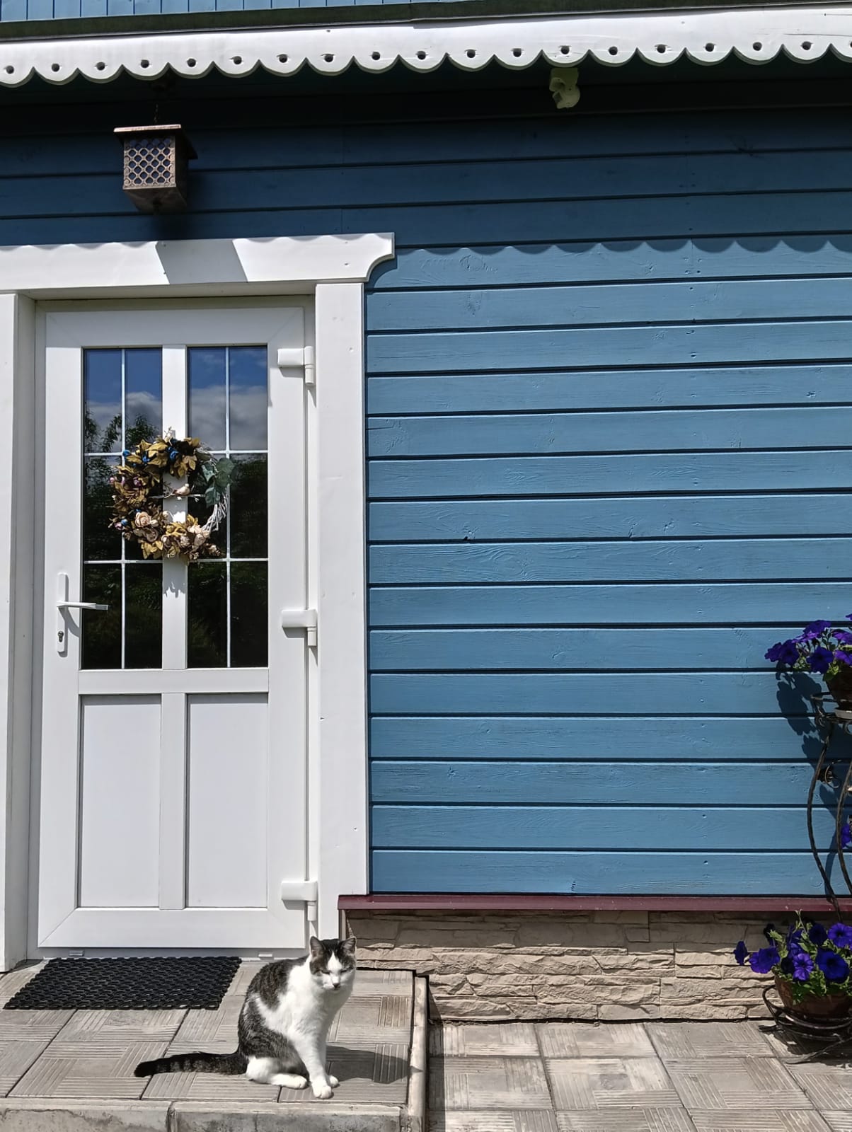 Фото Гостевой дом Петровых