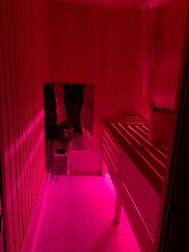 Marina Kazankovaning mushukining fotosuratlari