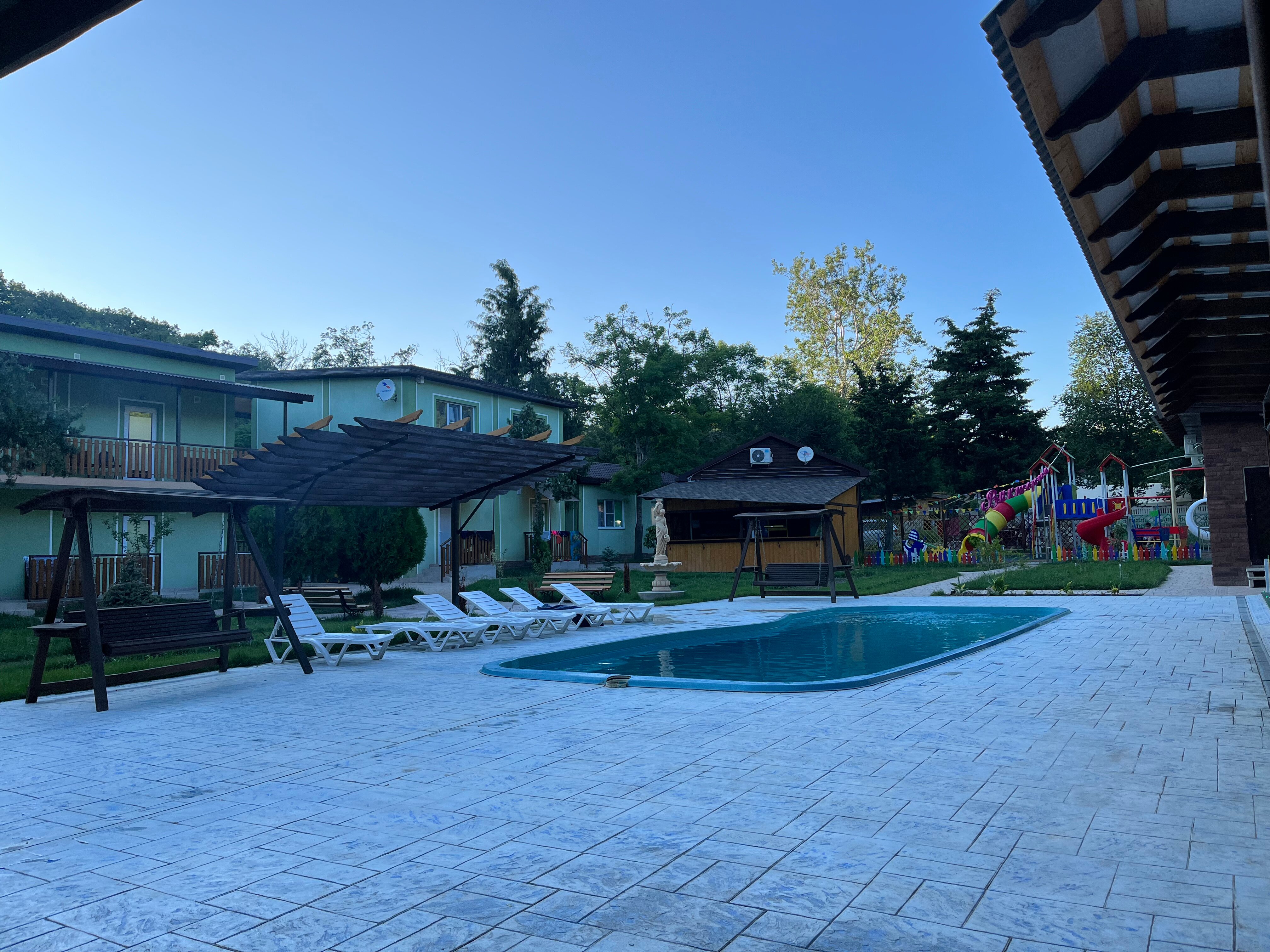 Фото Ромашка