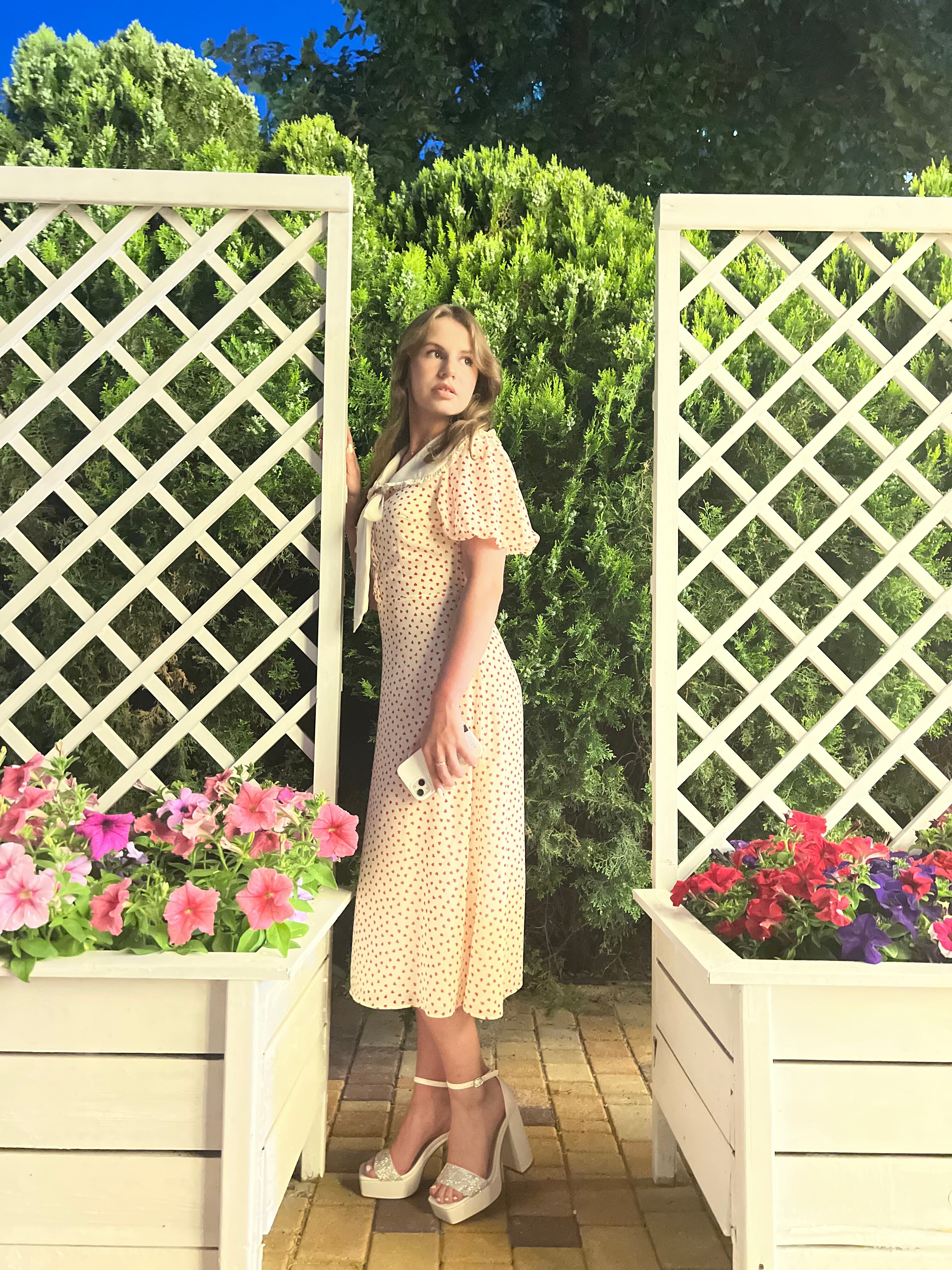 Фото Кипарис