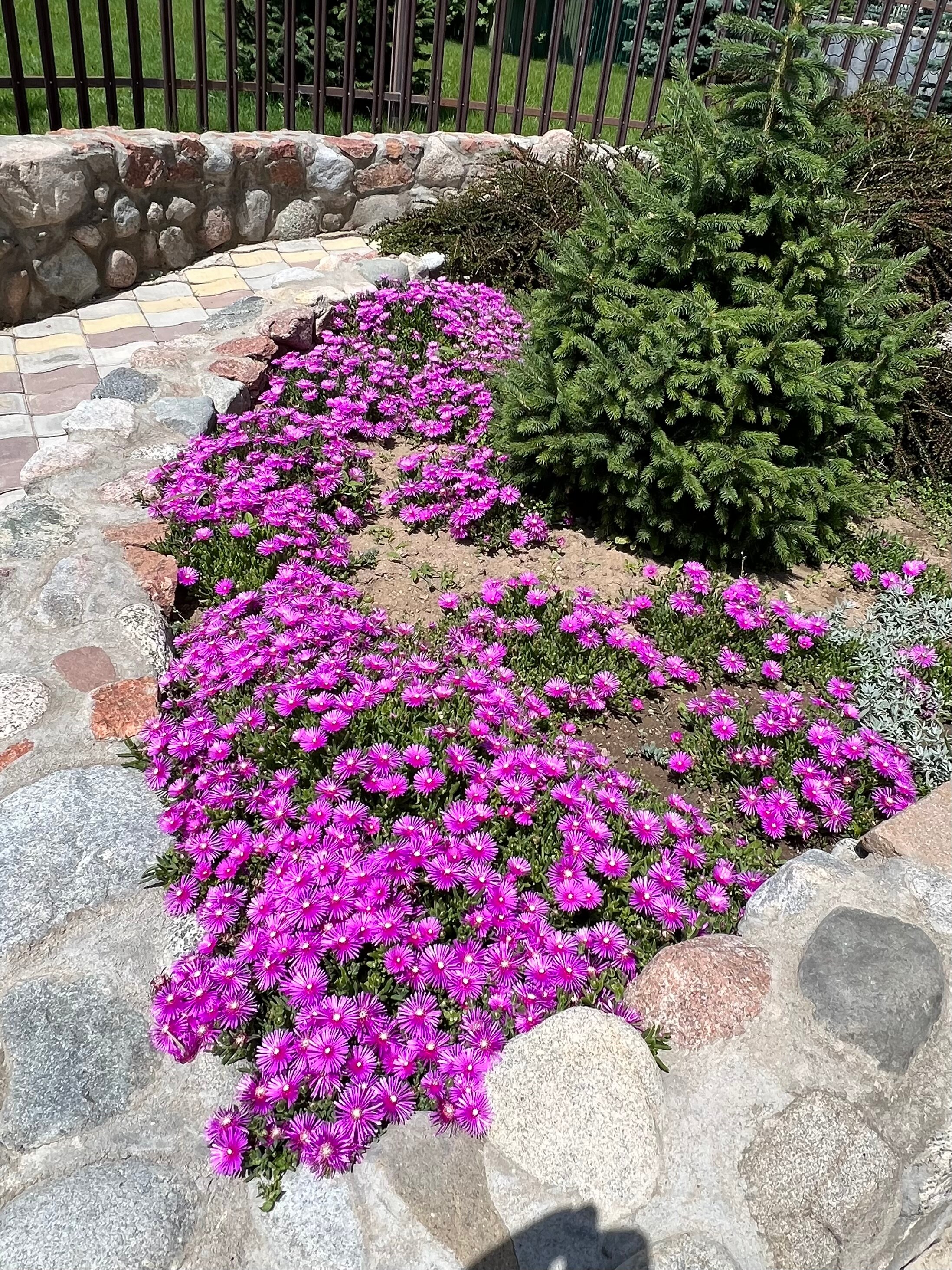 Фото Azure Sport Resort