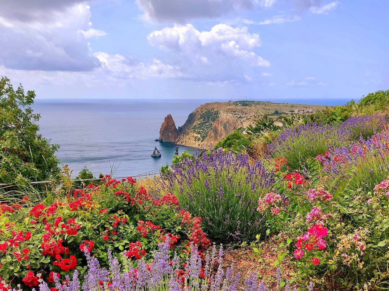 Фото Вилла Виола