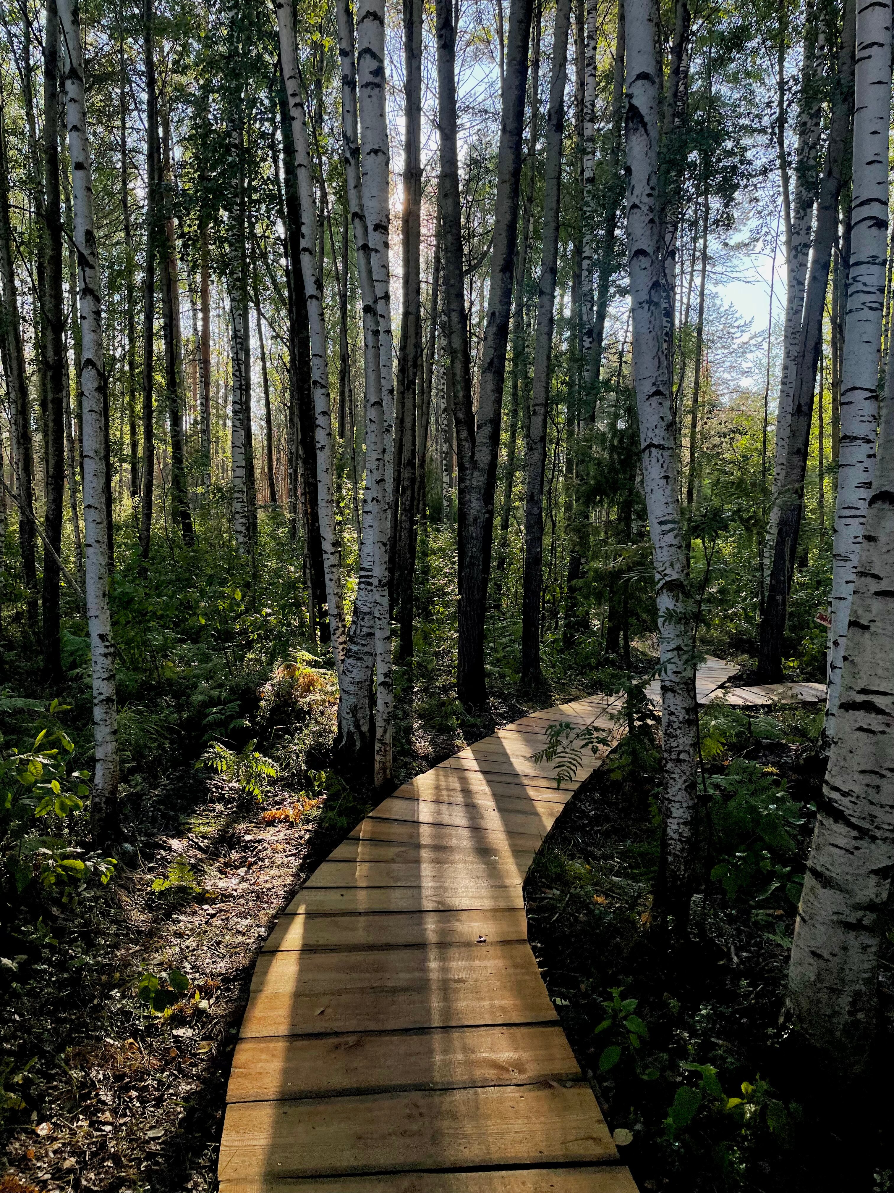 Фото Отель «Оланга»