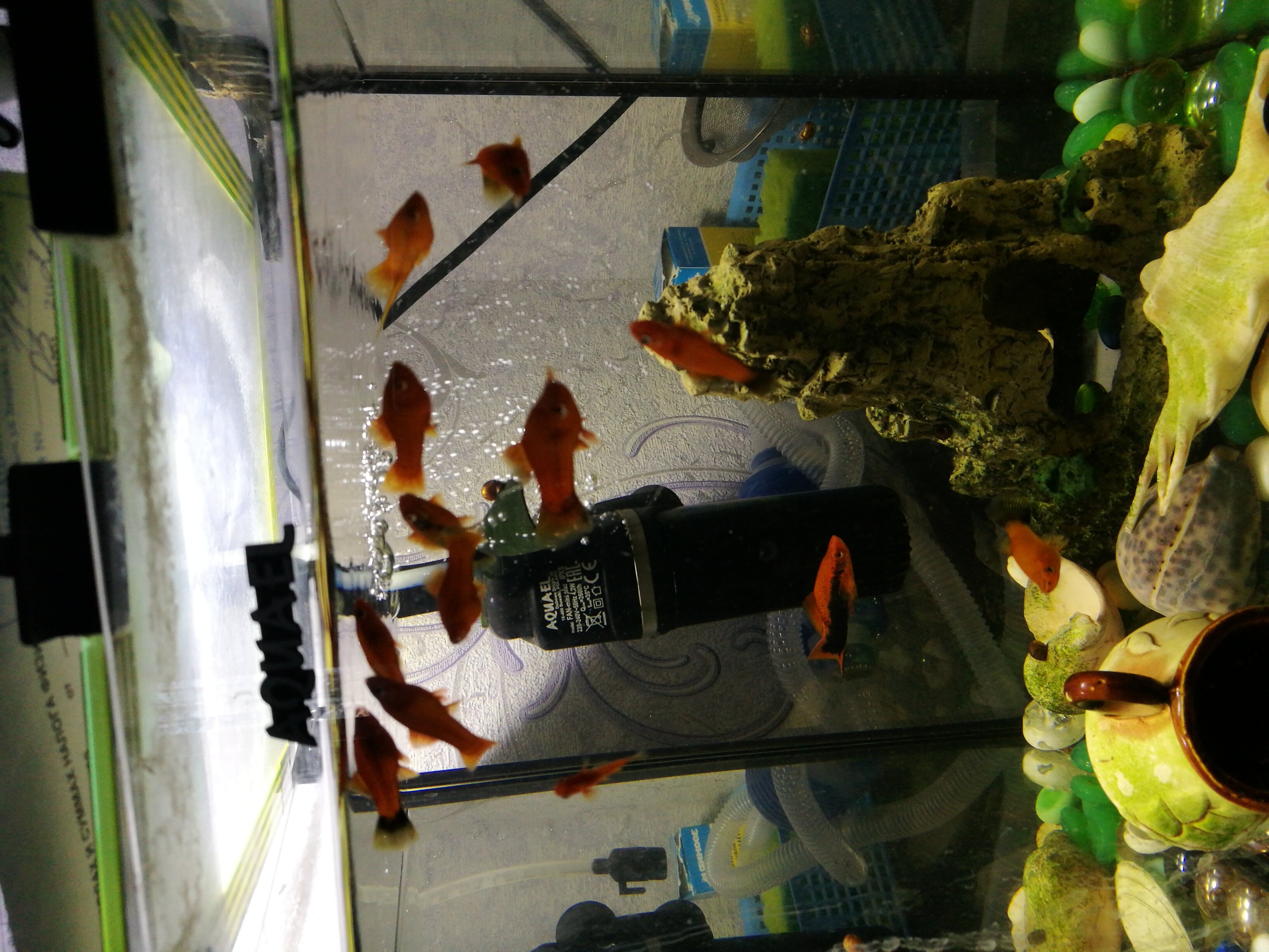 Фото Нефтяник