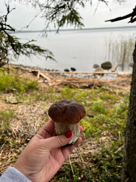 Фото Серебро Онеги