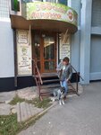 Lapochka (Severniy Microdistrict, Komarova Boulevard, 24), pet salon