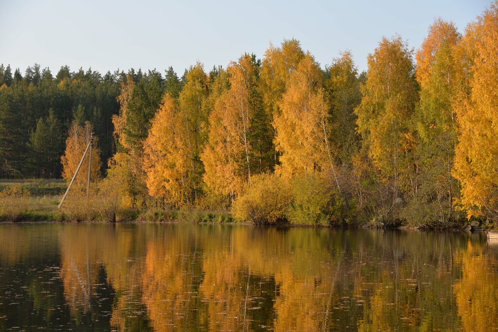 Клуб охотников и рыболовов Платная рыбалка Шабровский пруд, Екатеринбург, фото