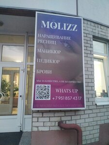 Molizz (ул. Бакунина, 43), салон красоты в Воронеже