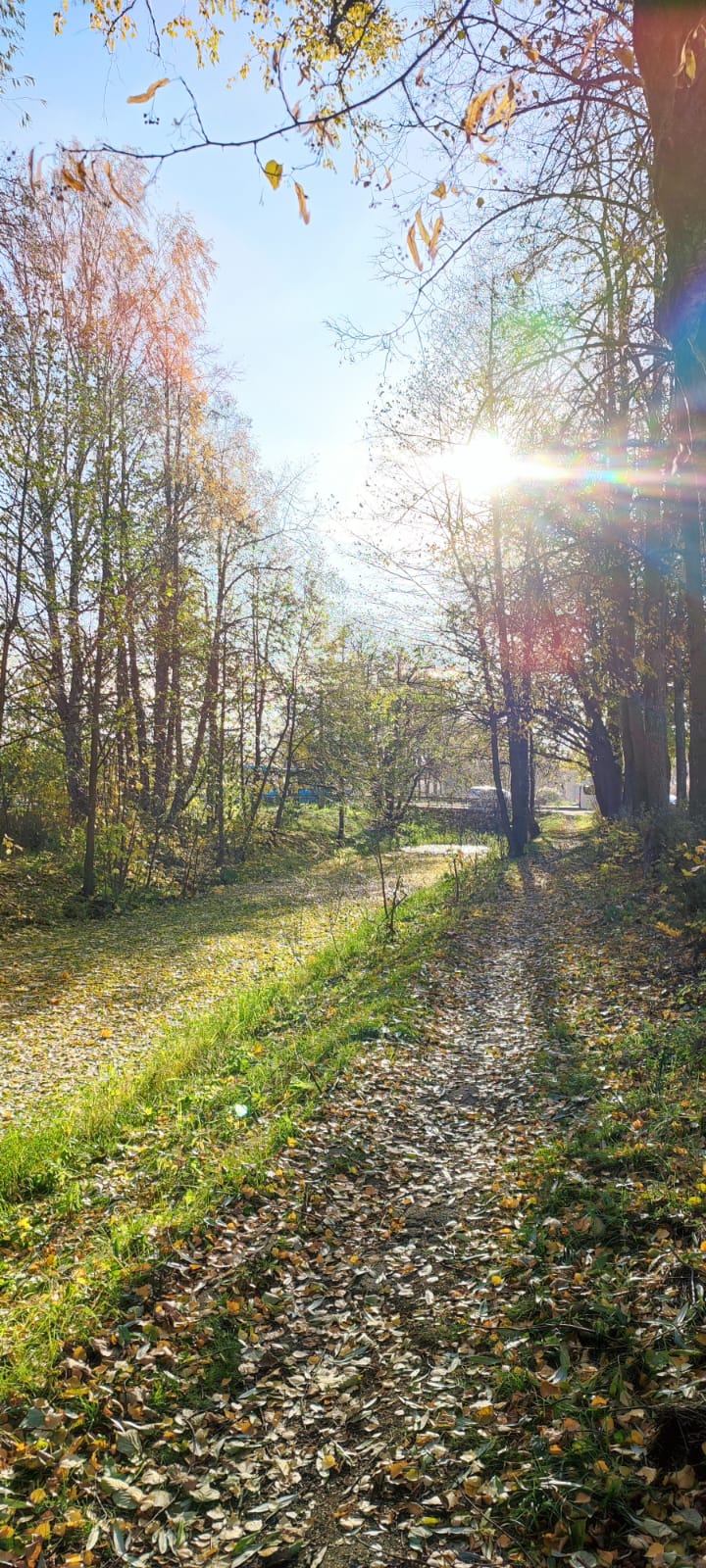 Фото Вилерона