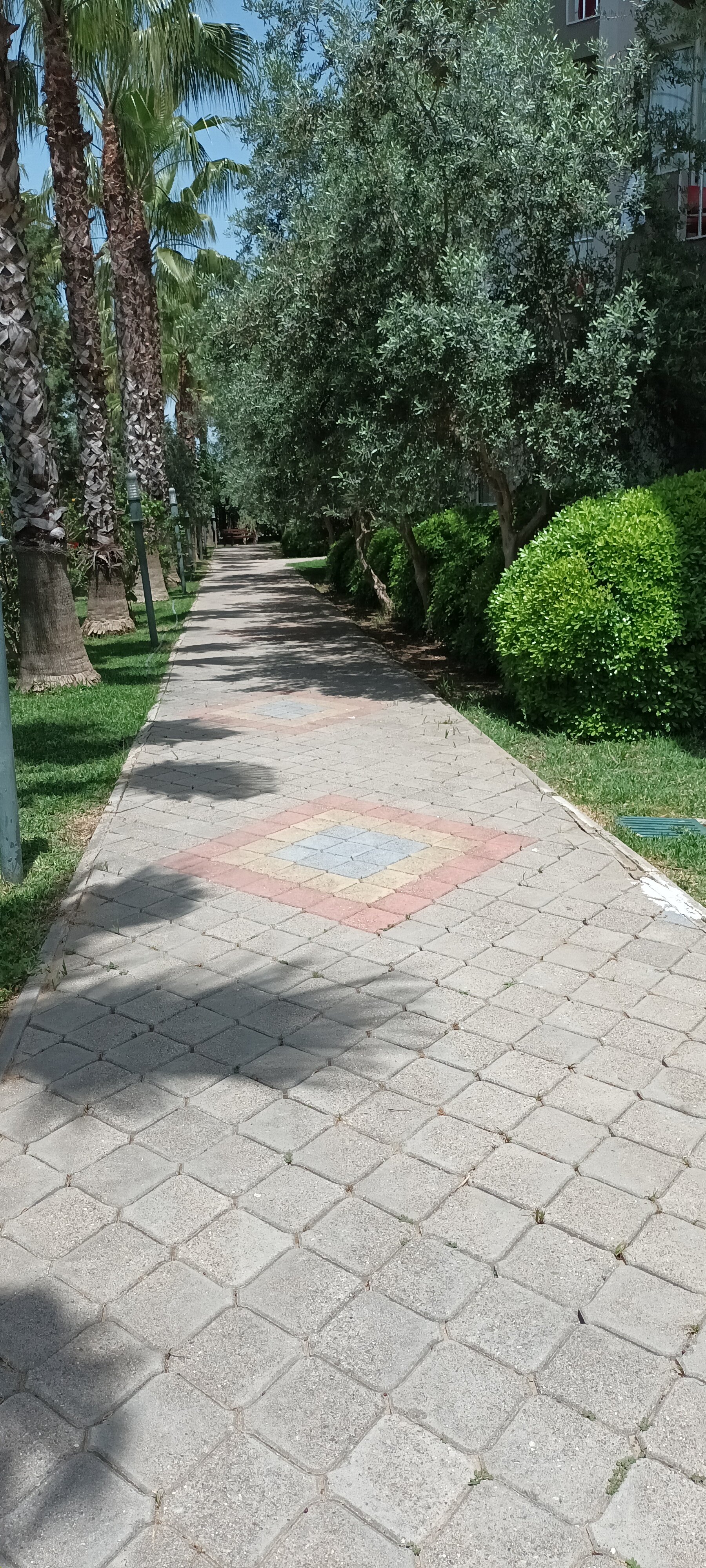 Фото Orfeus Park Hotel