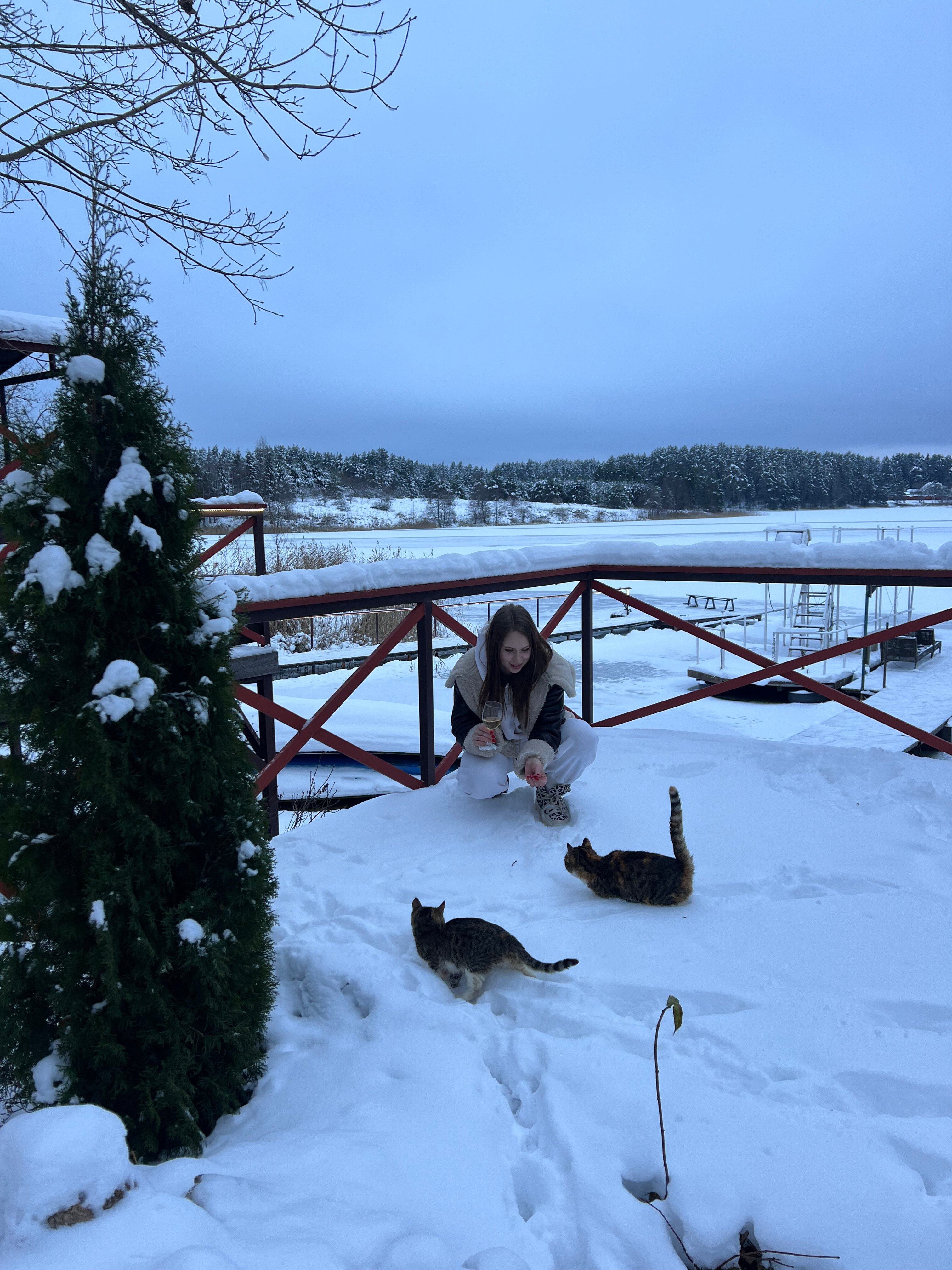 Фото Любимый причал