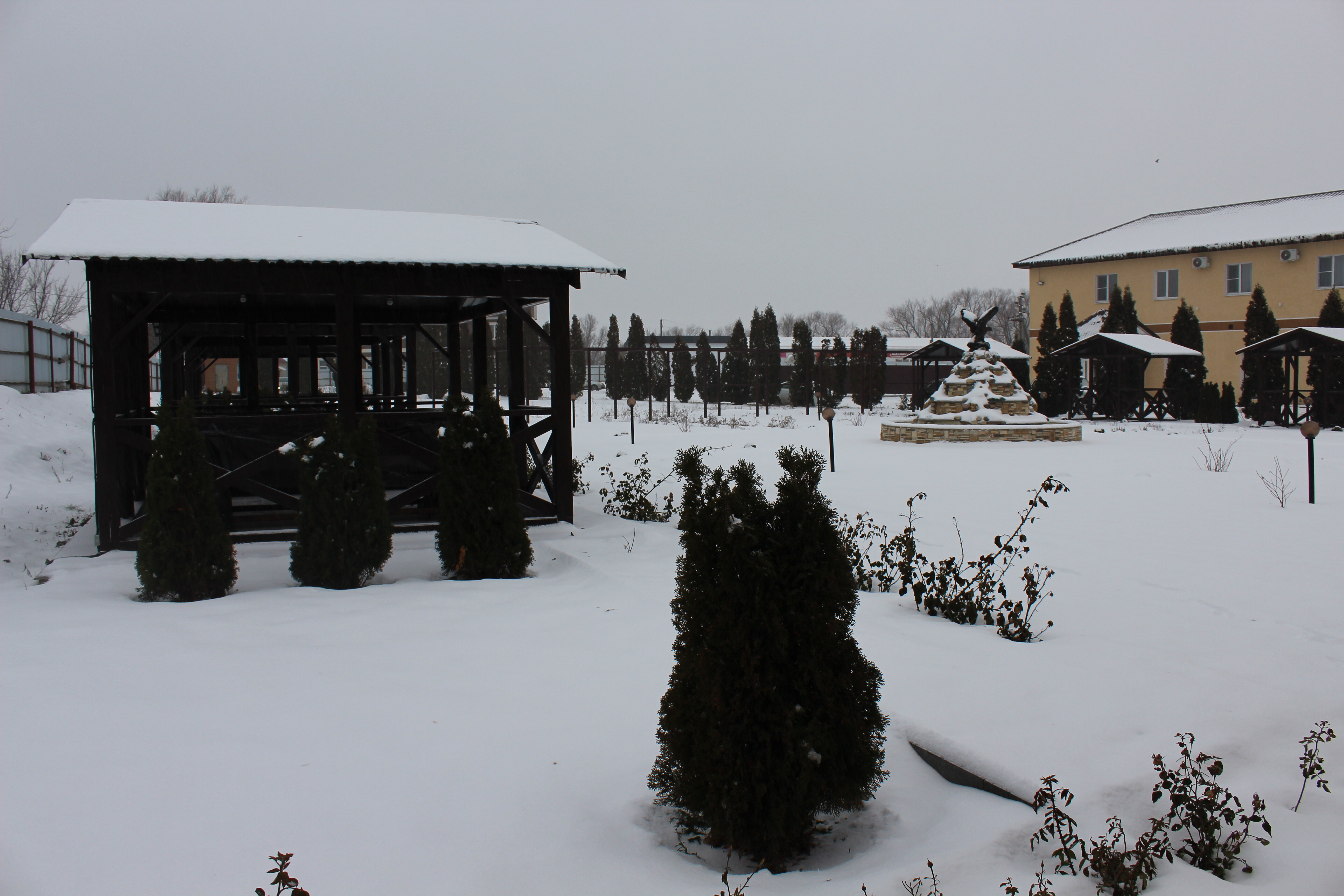 Фото Александрия