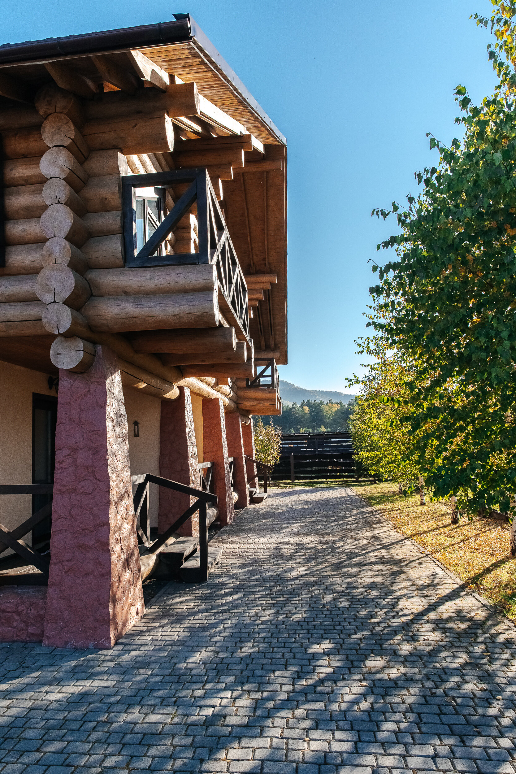 Фото Рыжий кот