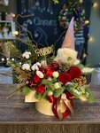 Омела (Kotovsk, ulitsa Svobody, 19), flower shop