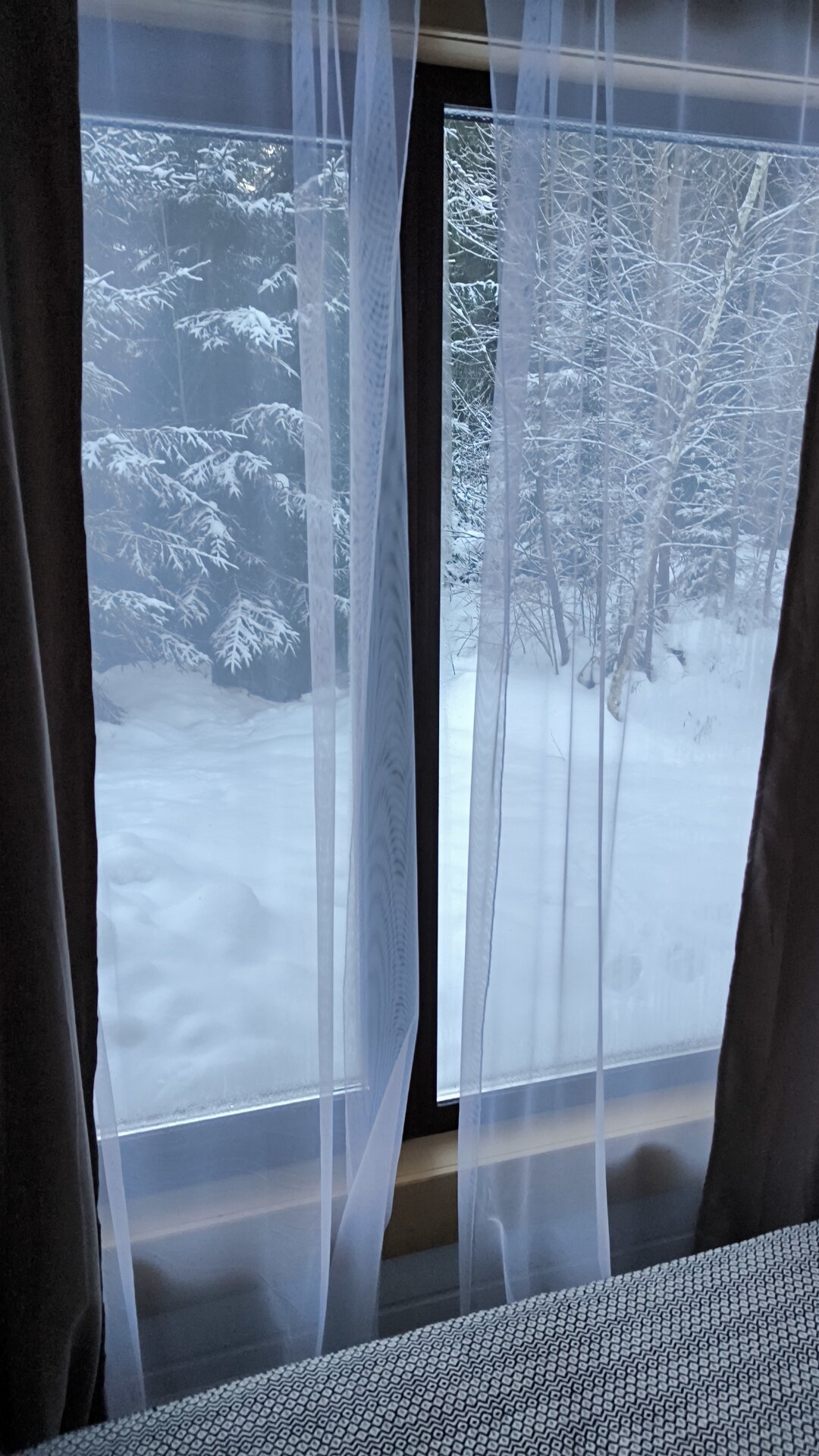 Фото Винни-Вилла