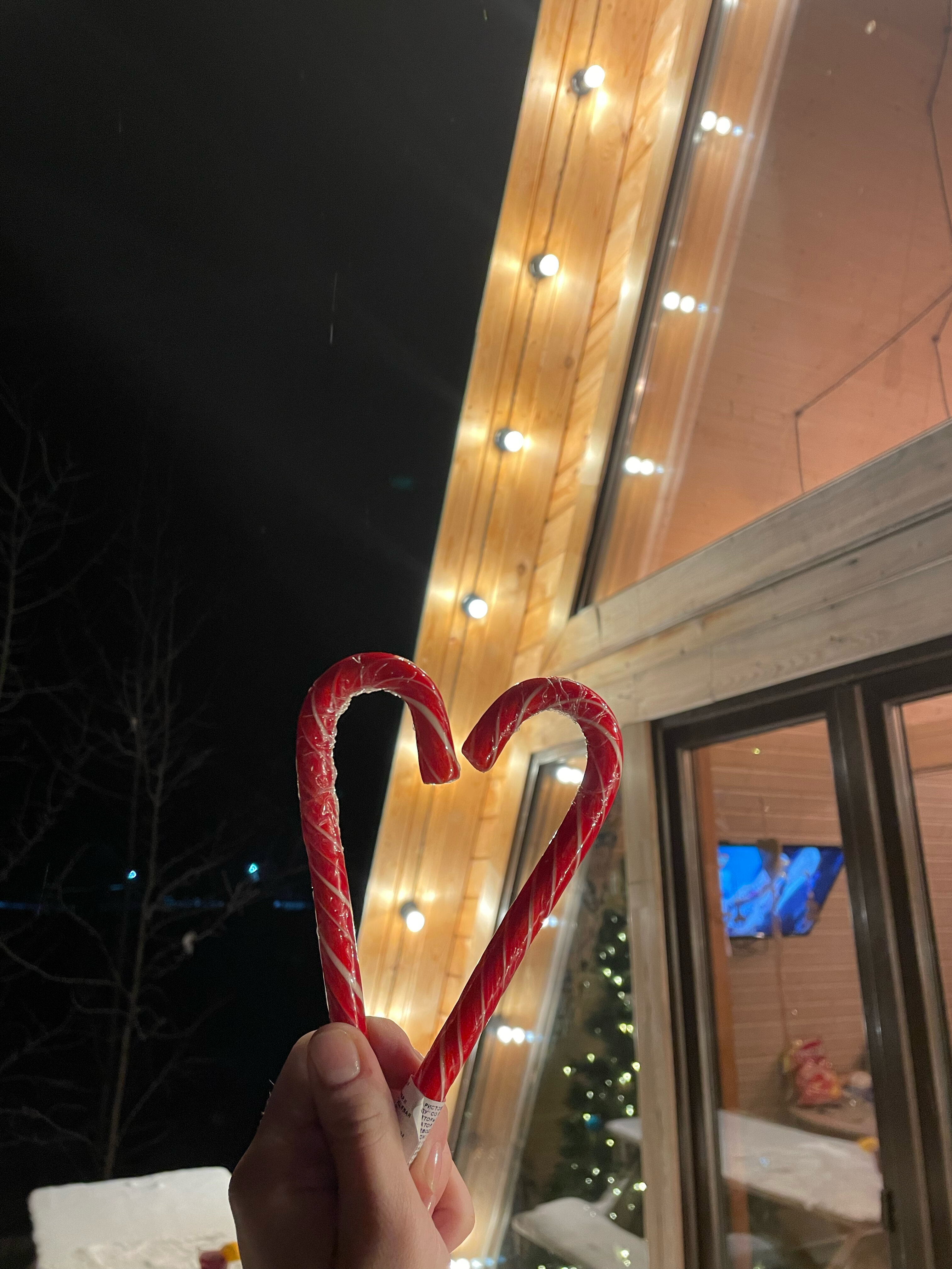 Фото Дом грёз Утиные пруды