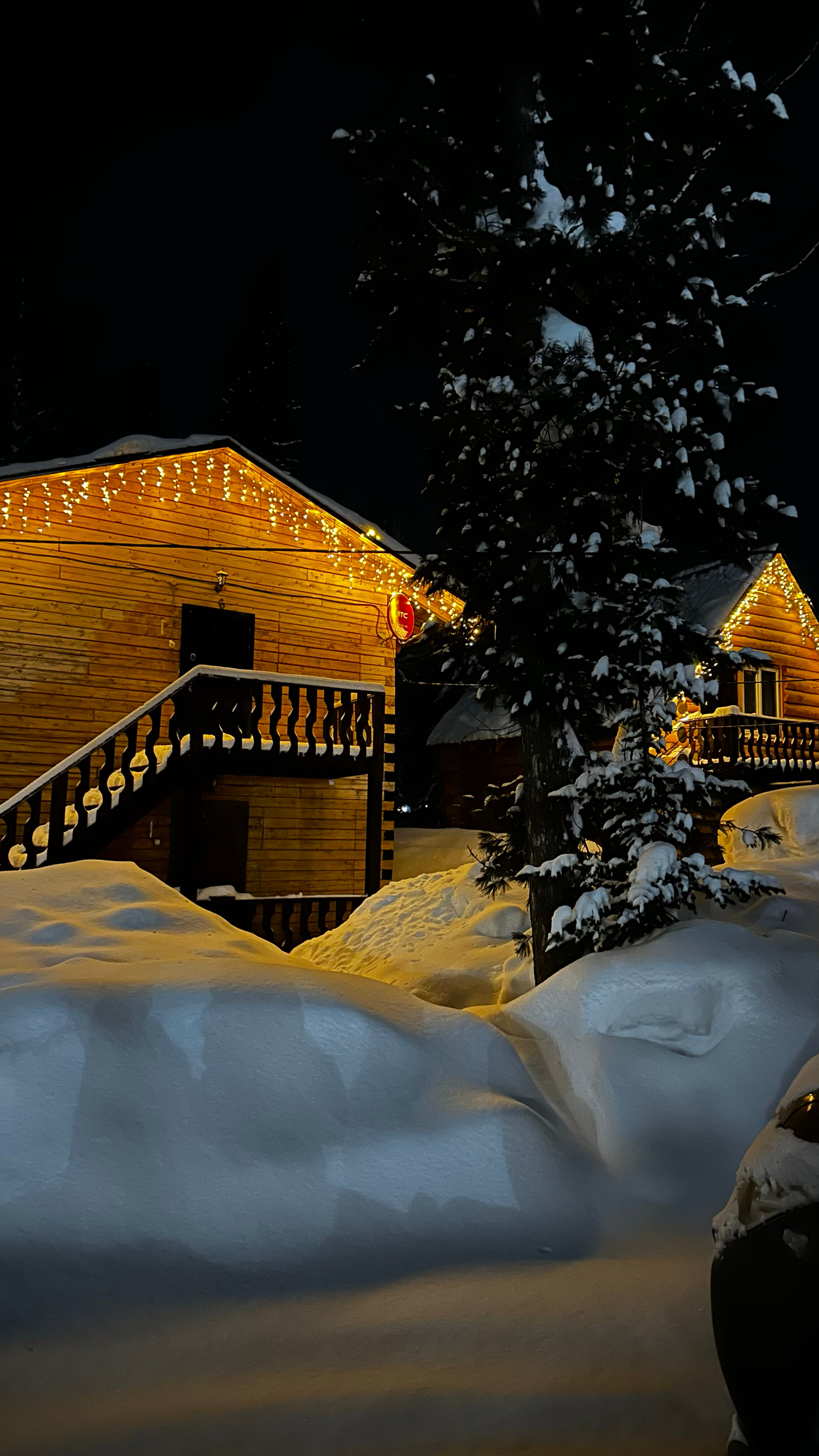 Фото Сила Сибири