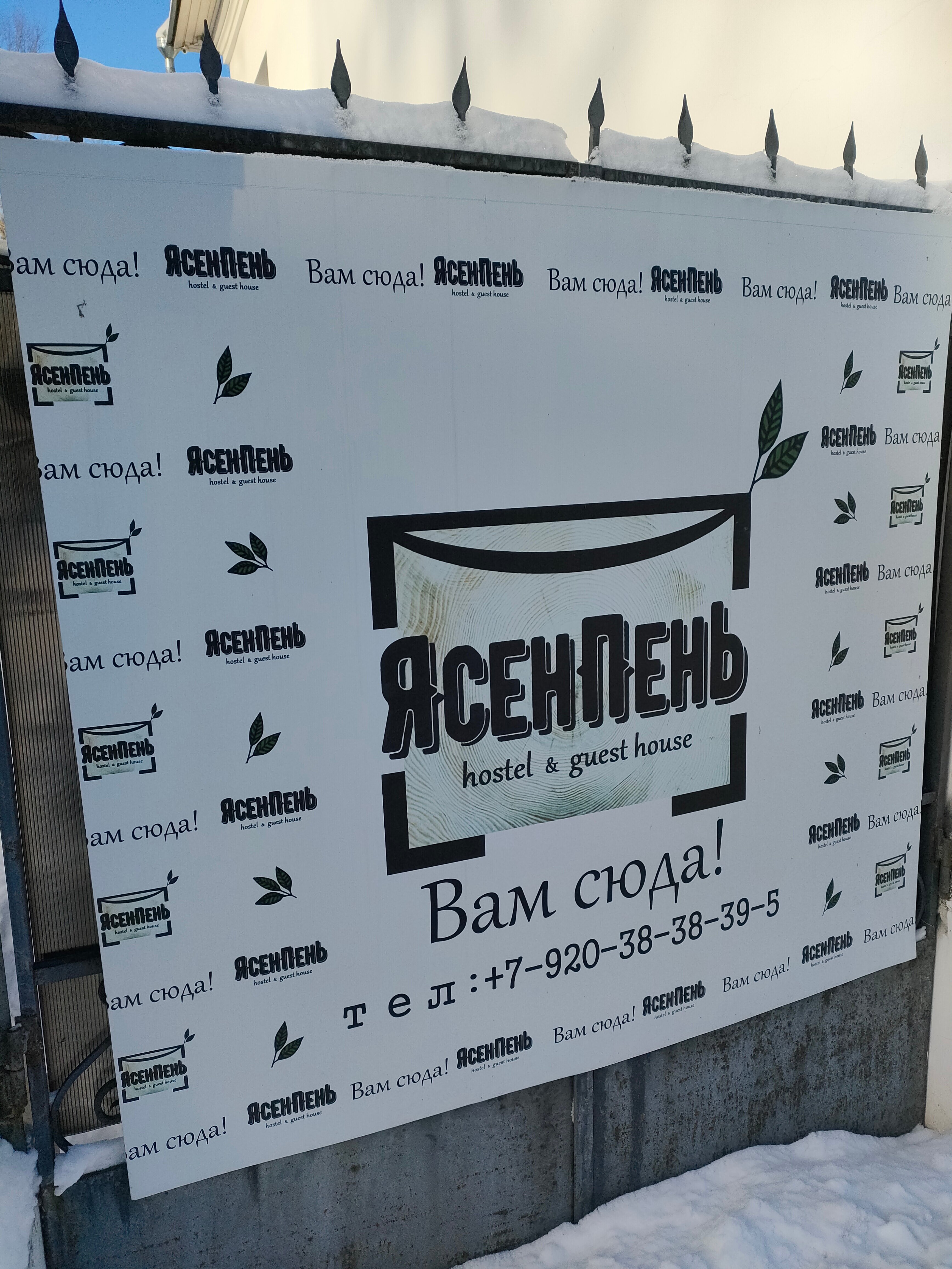 Фото ЯсенПень