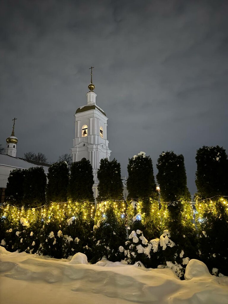 Православный храм Успенский Кафедральный Собор, Иваново, фото