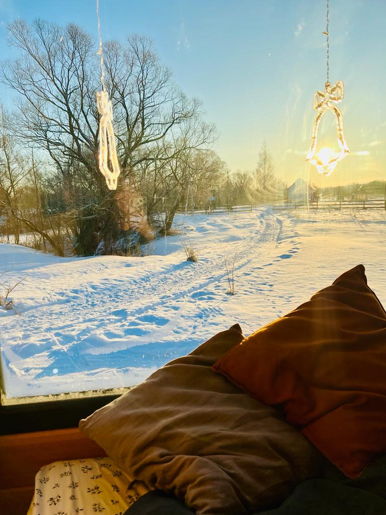 Фото Лес и луга