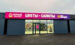 The First Flower (ulitsa Yurkina, 36/1), floristeria