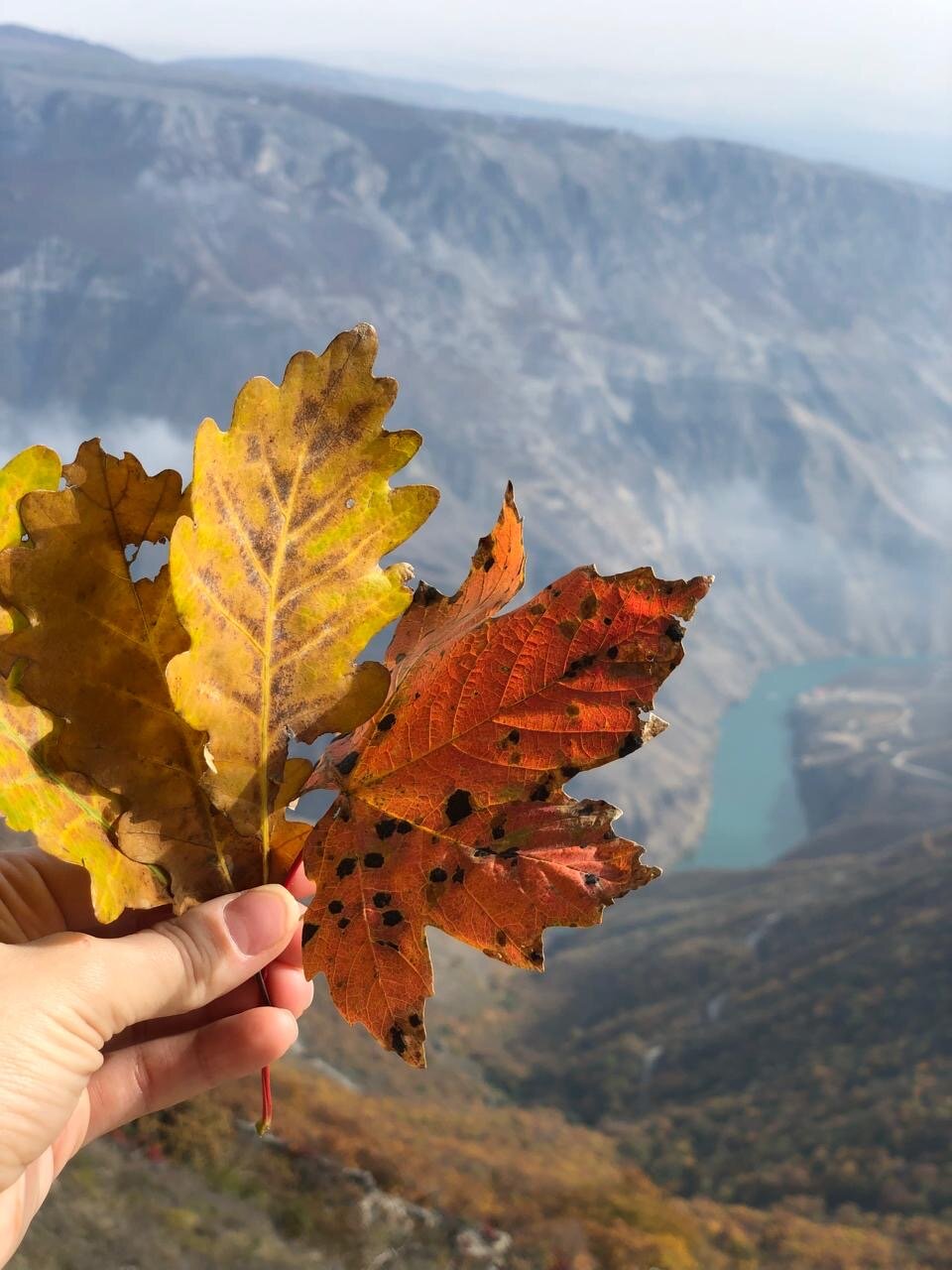 Фото Долина Сулака