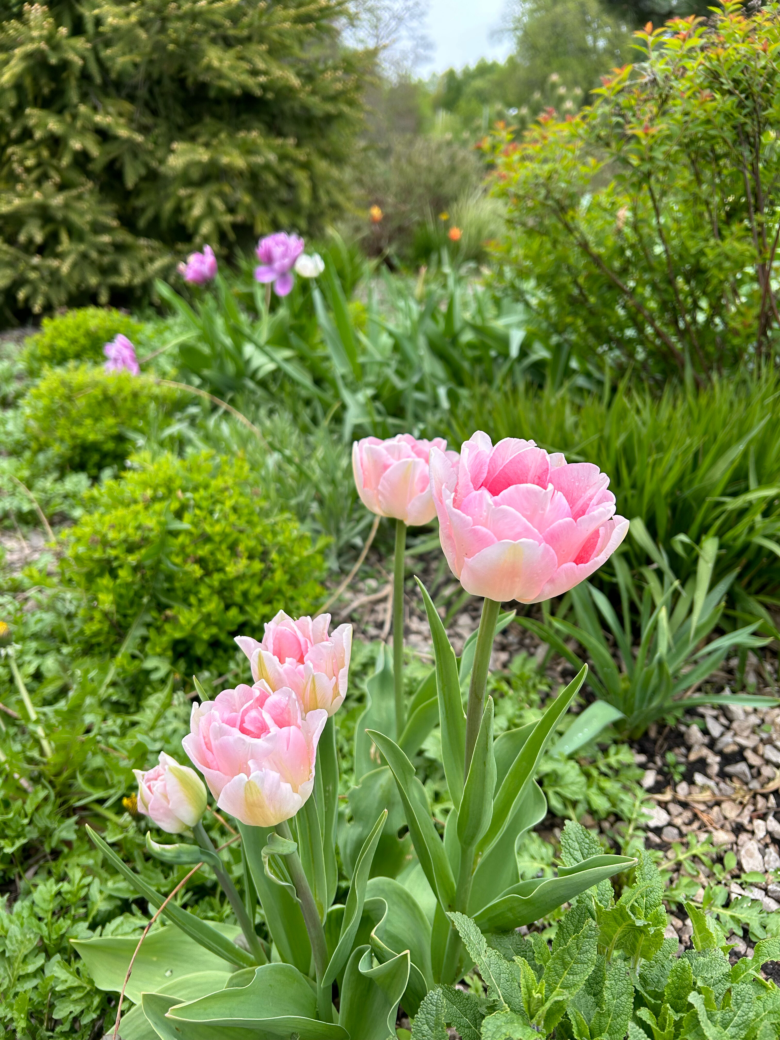 Фото Надежда