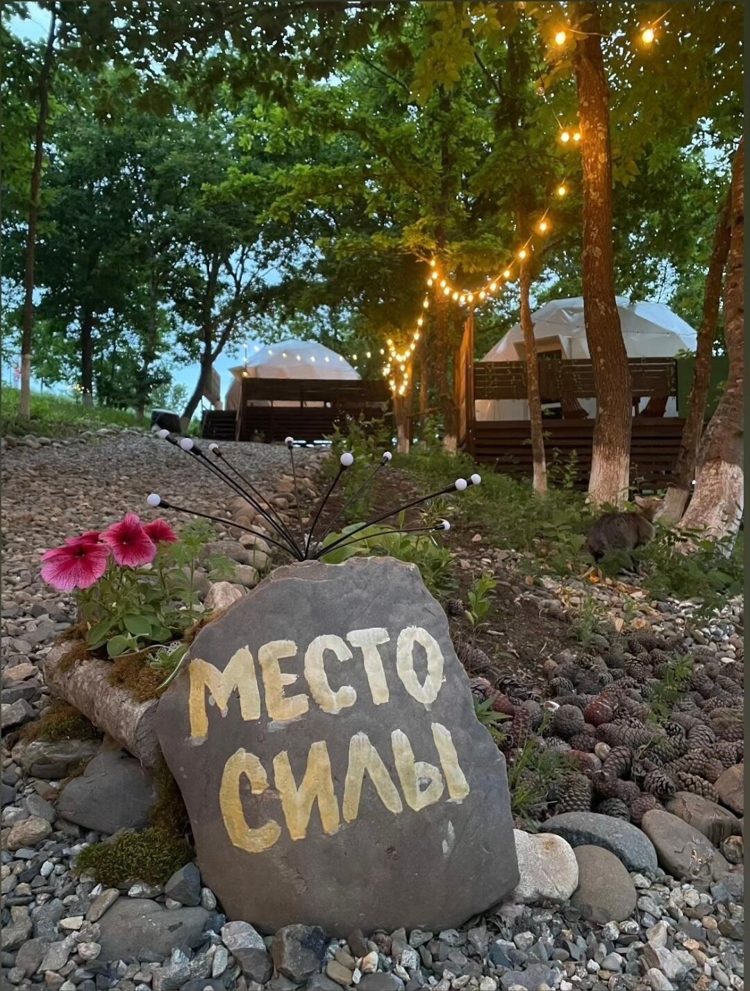 Фото Солнечный Склон