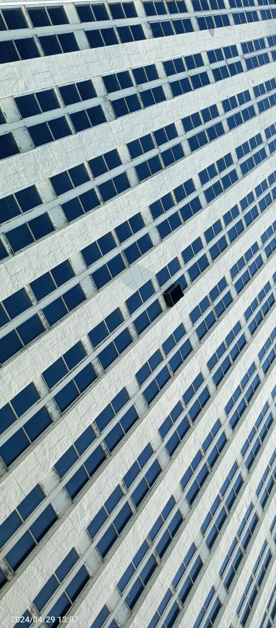 Фото Пастернак