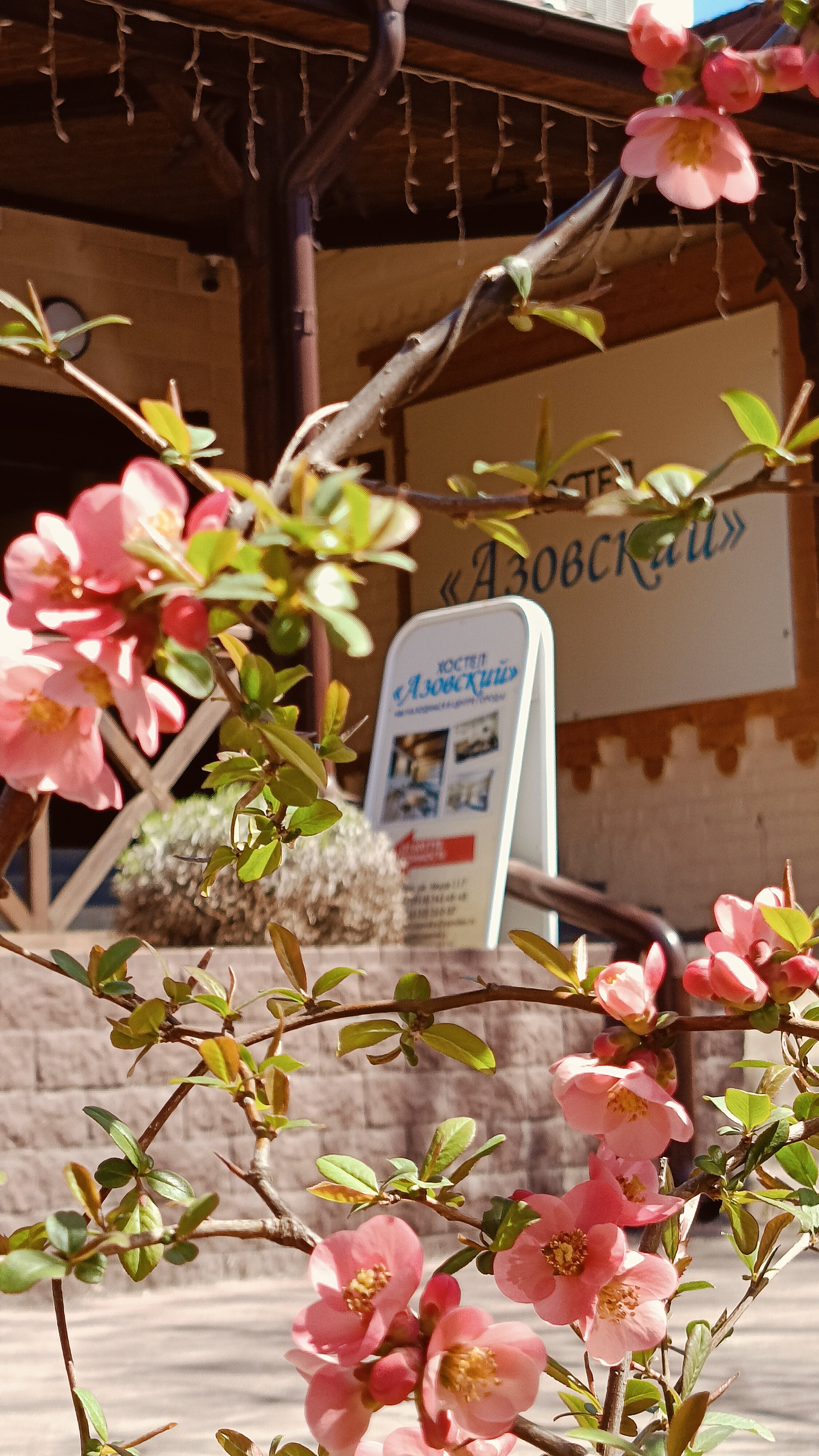 Фото отеля 2