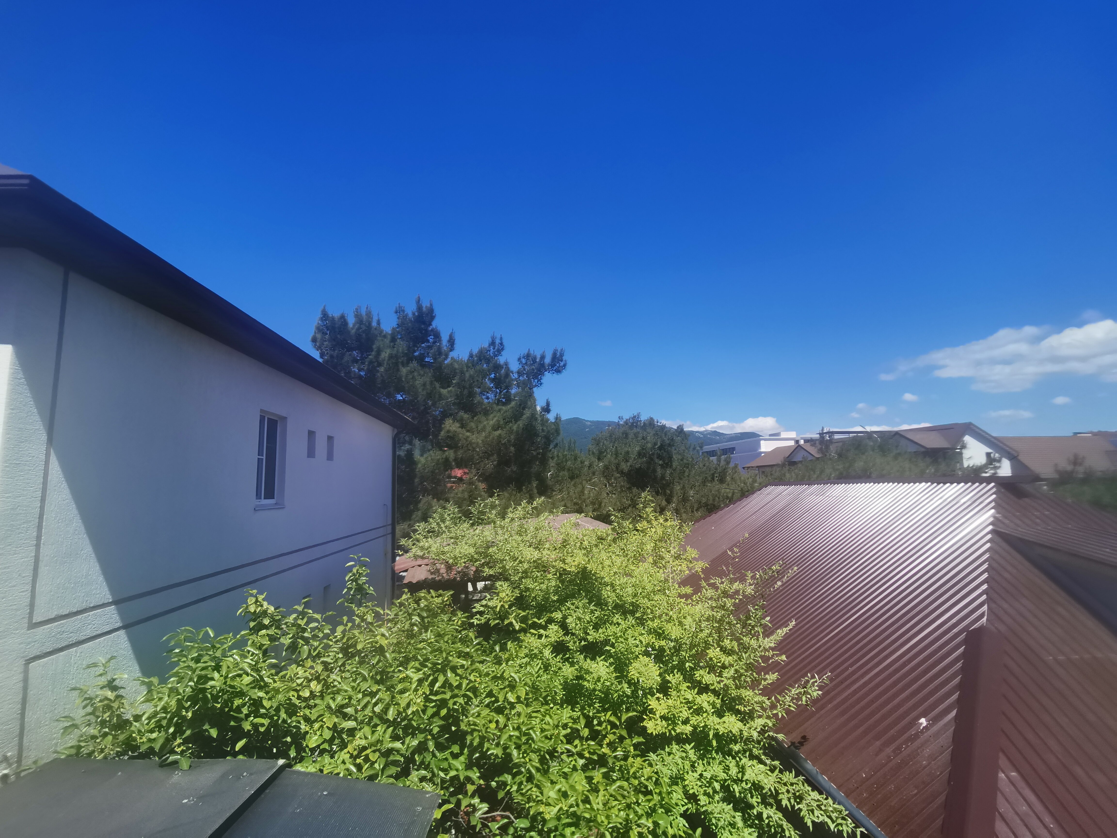 Фото Елисеевский