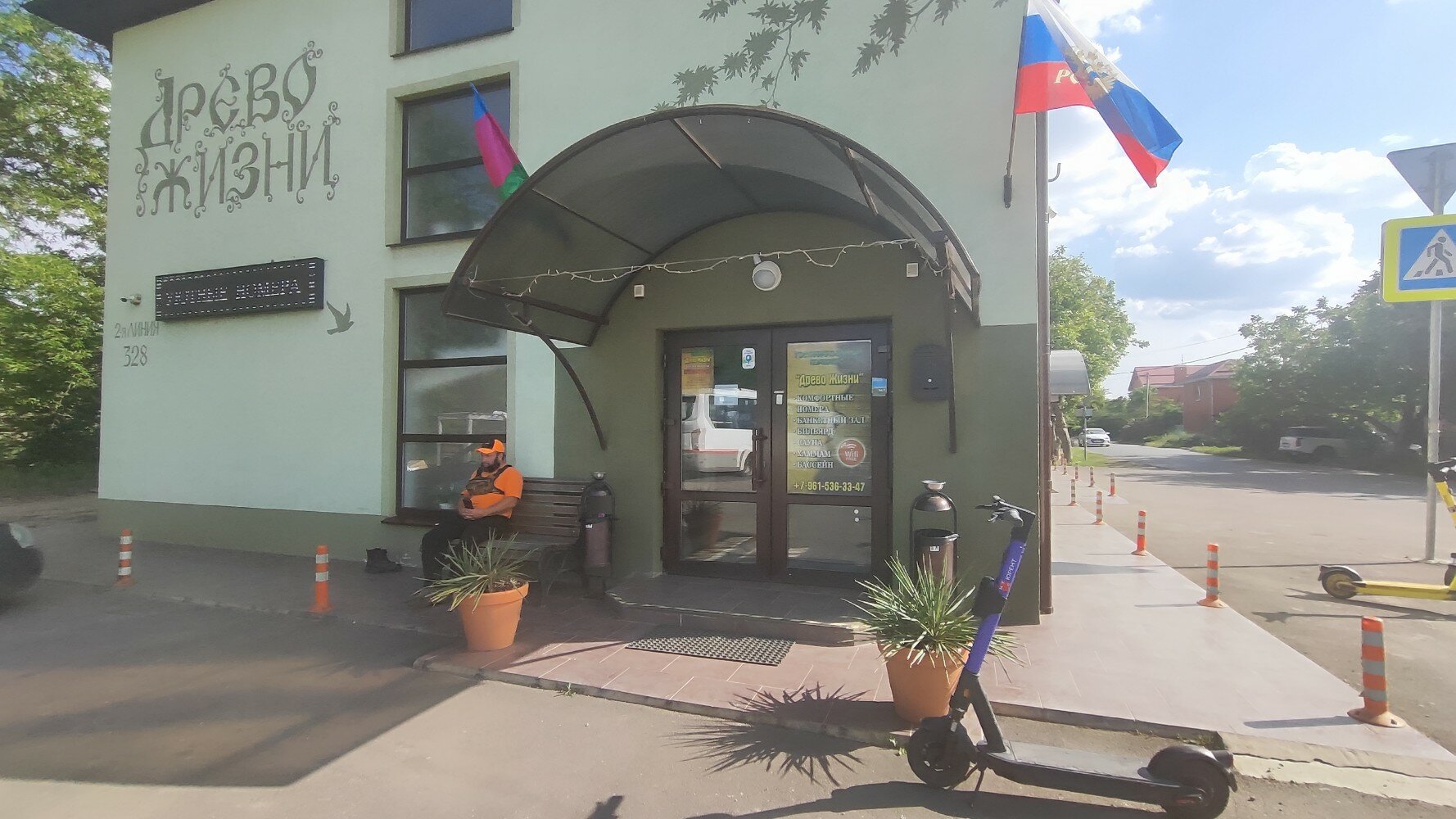 Фото Древо жизни