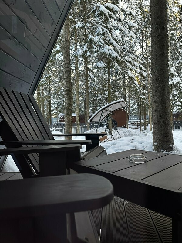 Фото Elki в Новожилово