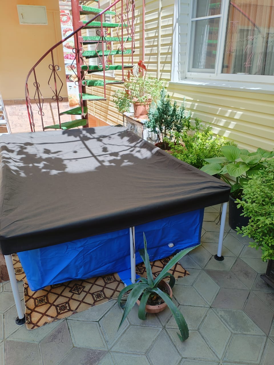 Фото У Натали