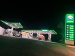 Ekko (Republic of Daghestan, Akushinskiy rayon, selsovet Burgimakmakhinskiy), gas station