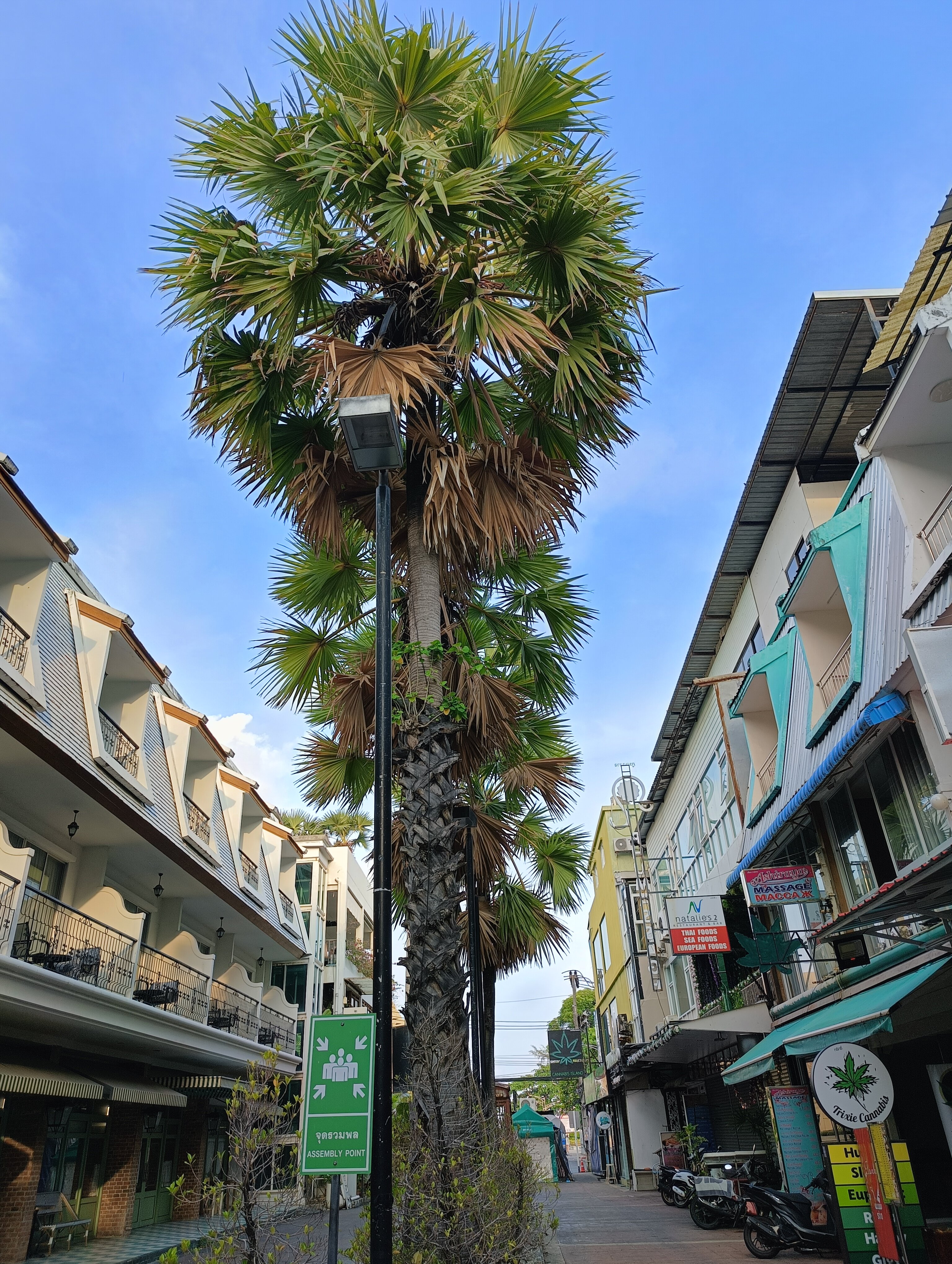 Фото Sugar Marina Fashion, Kata Beach