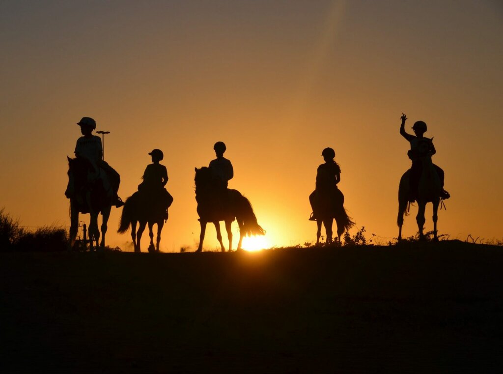 Horse riding Al Dhabi Horse Riding, Emirate of Dubai, photo