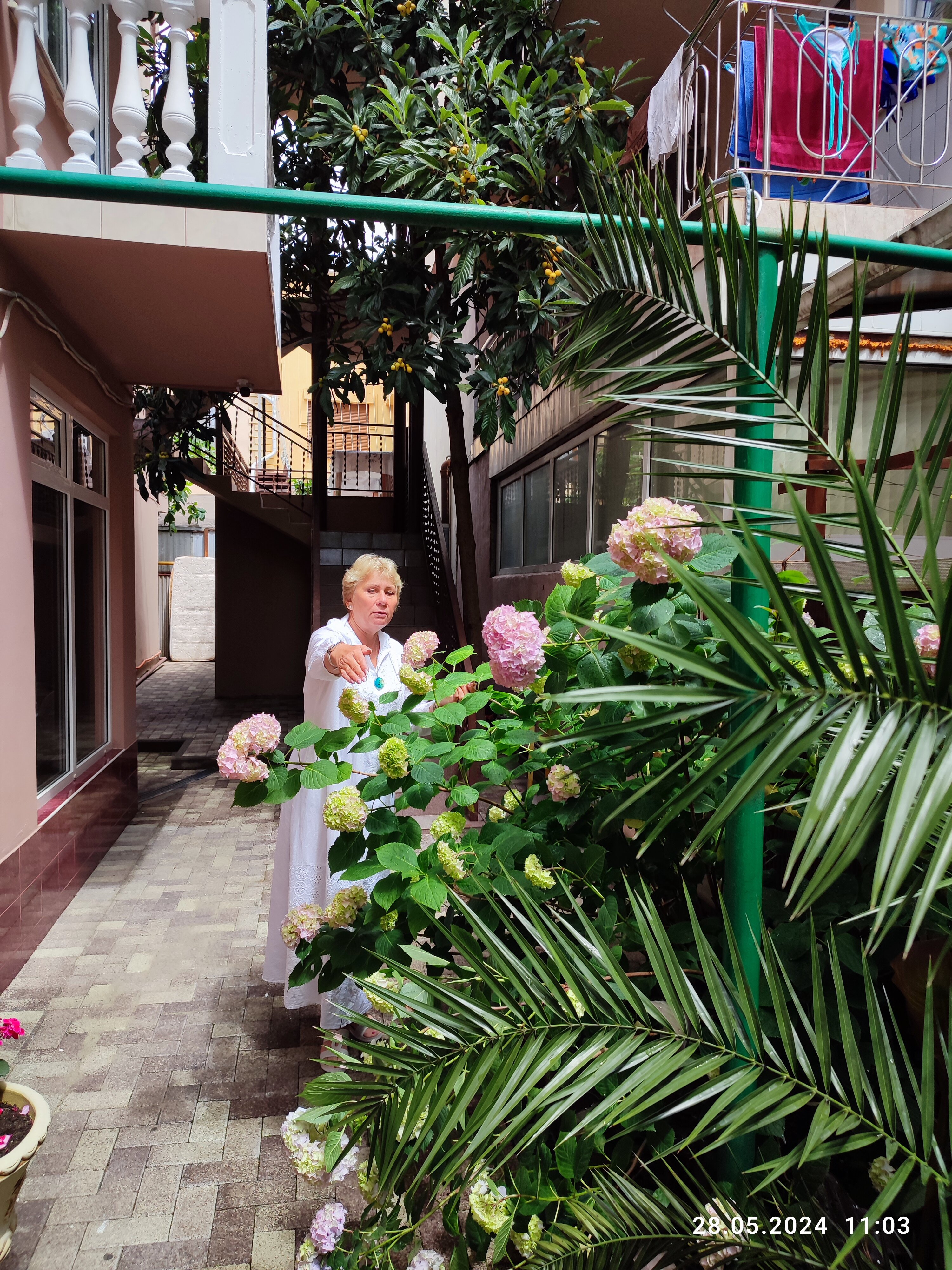 Фото Арарат