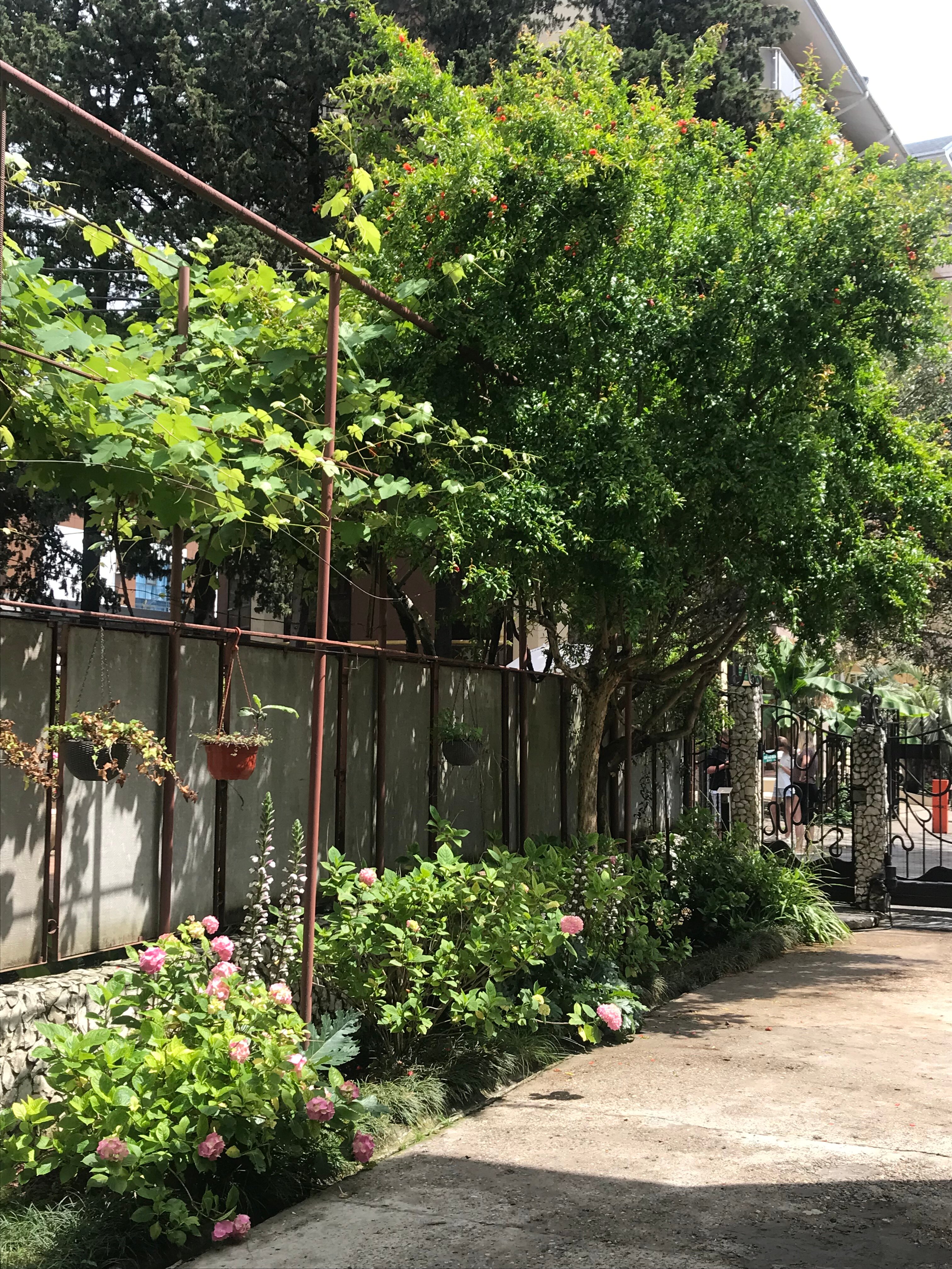 Фото Енисей