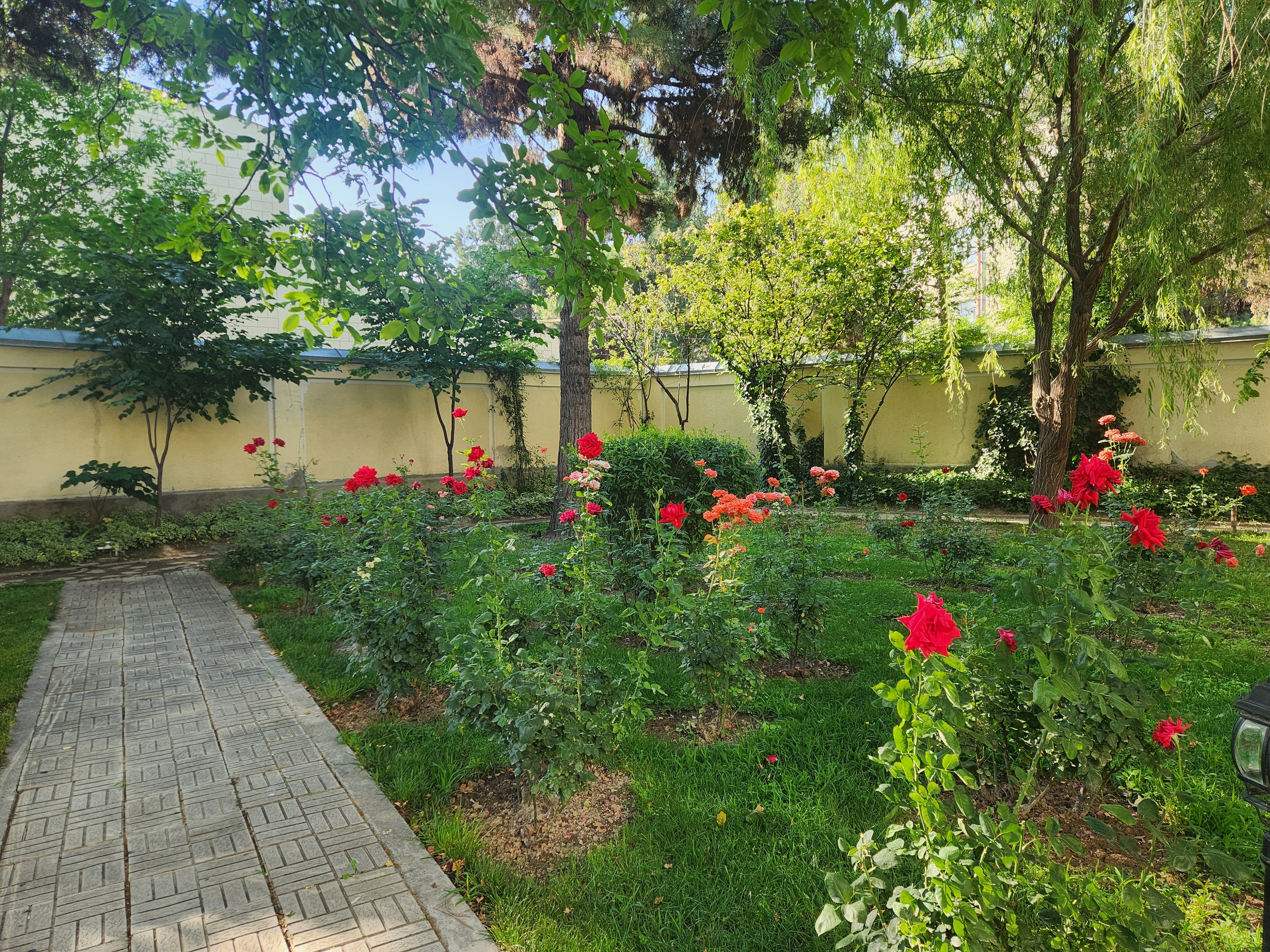 Фото Orient Star