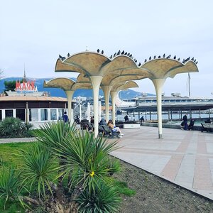 Апартаменты у Приморского Парка