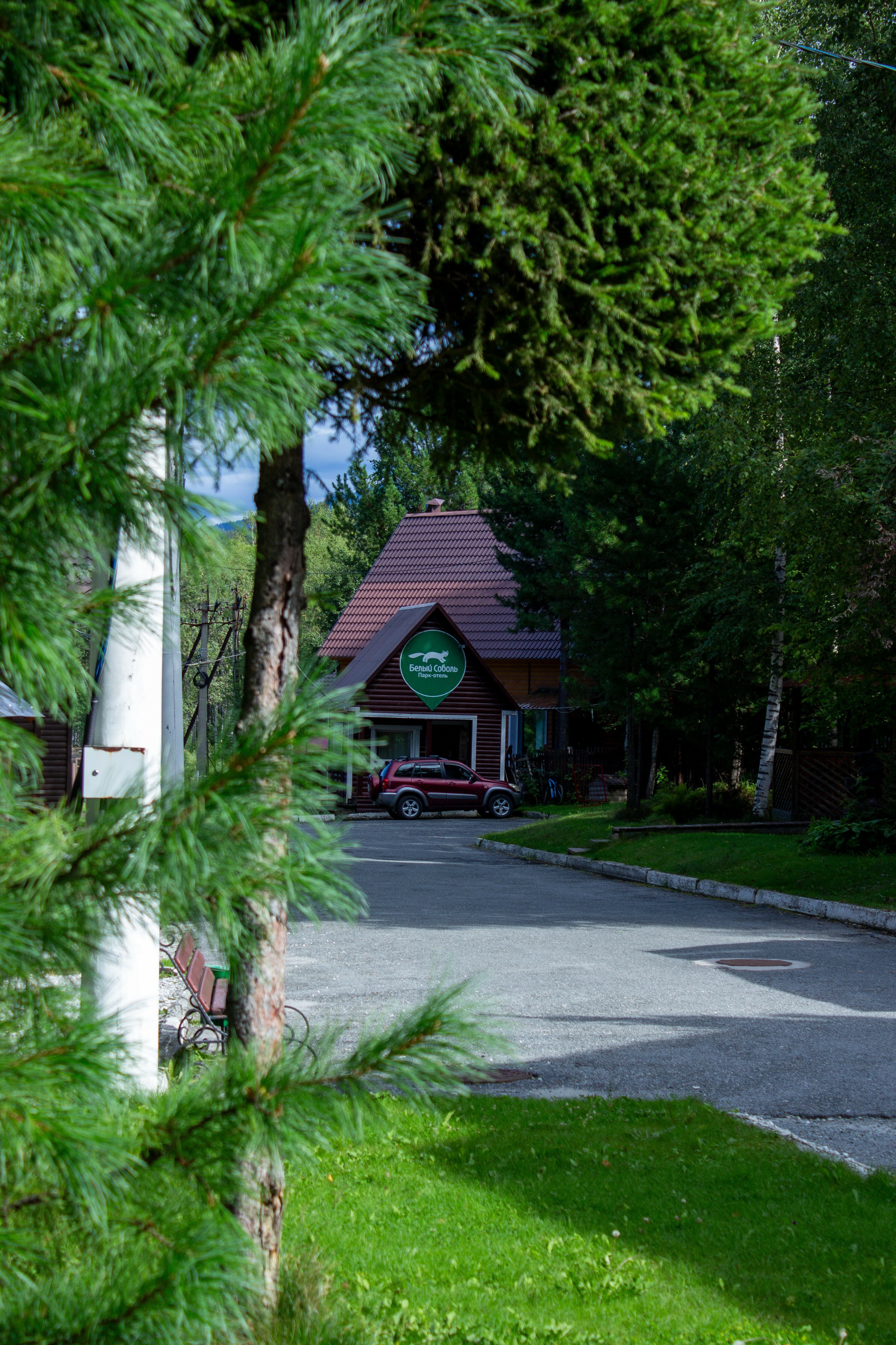 Фото Белый соболь