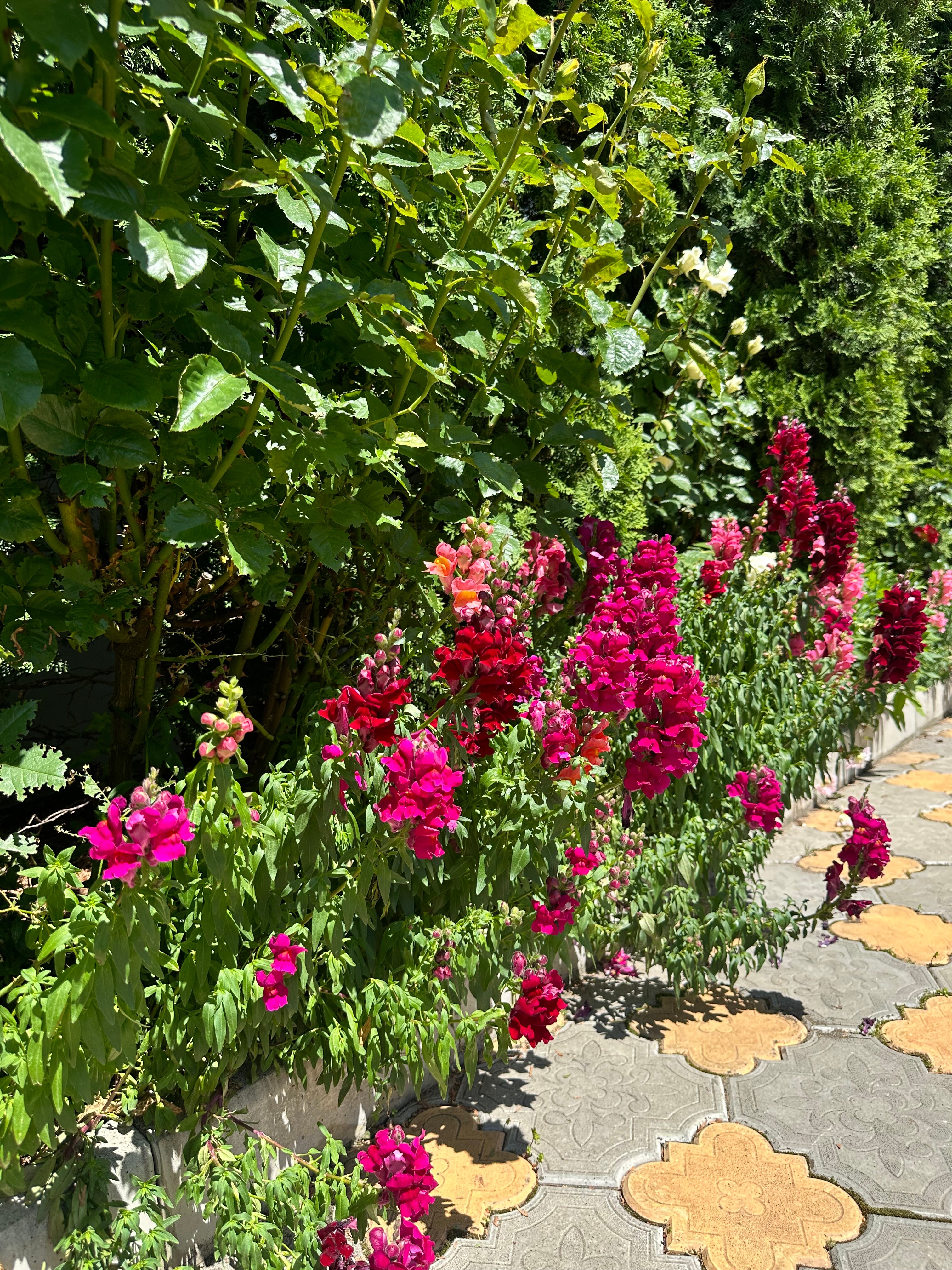 Фото Марийка