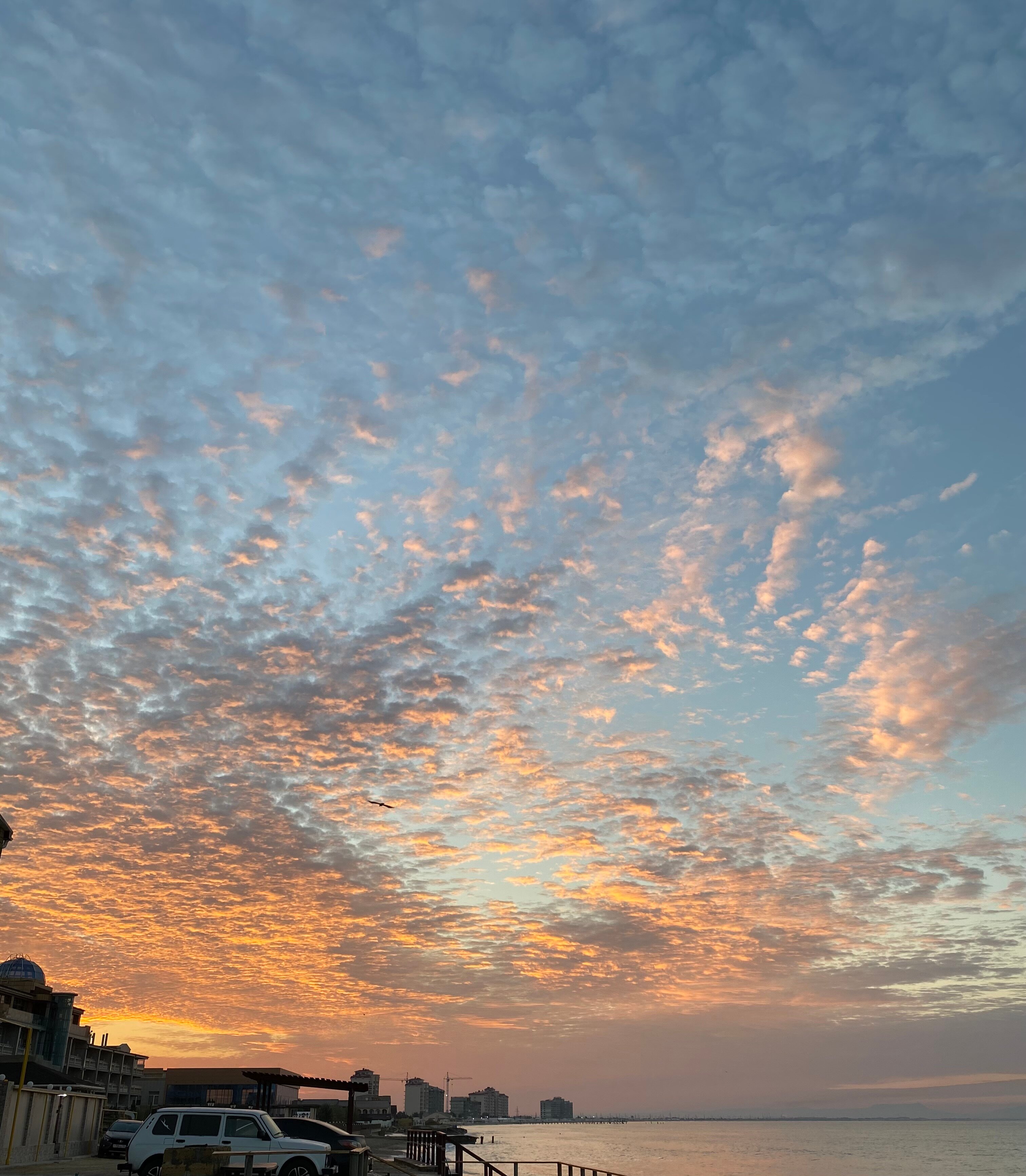 Фото Лагуна