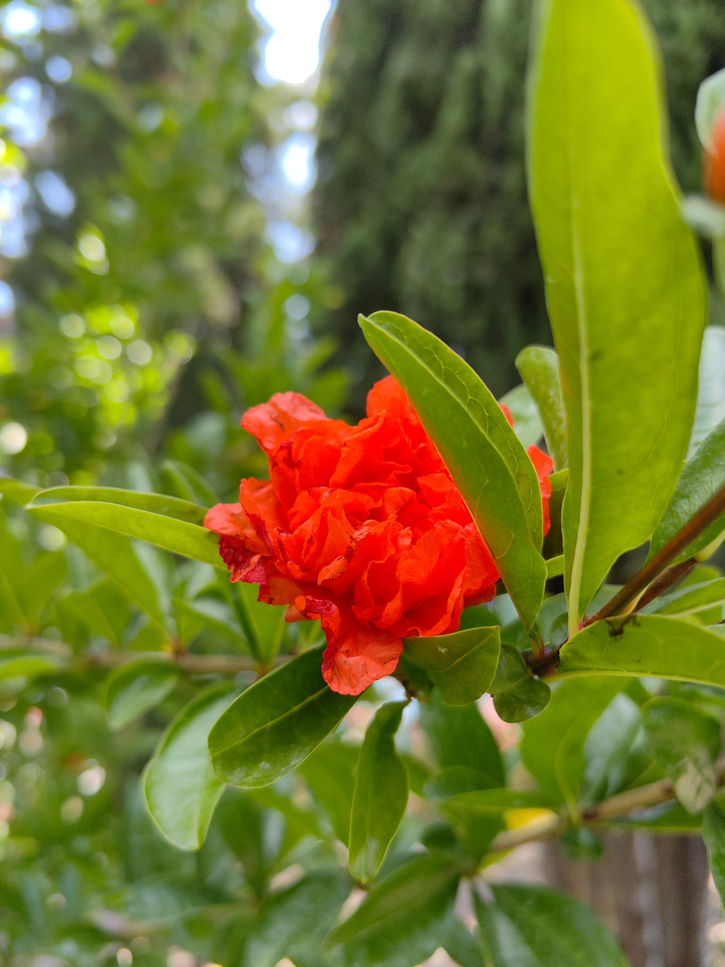 Фото На море хочу