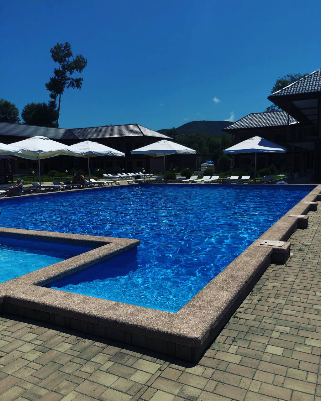 Фото Кипарис