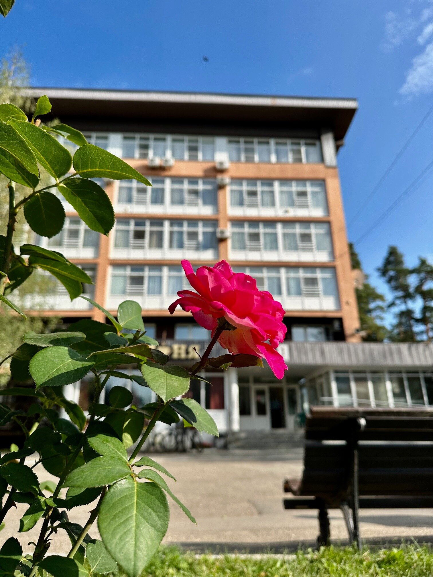 Фото отеля 2